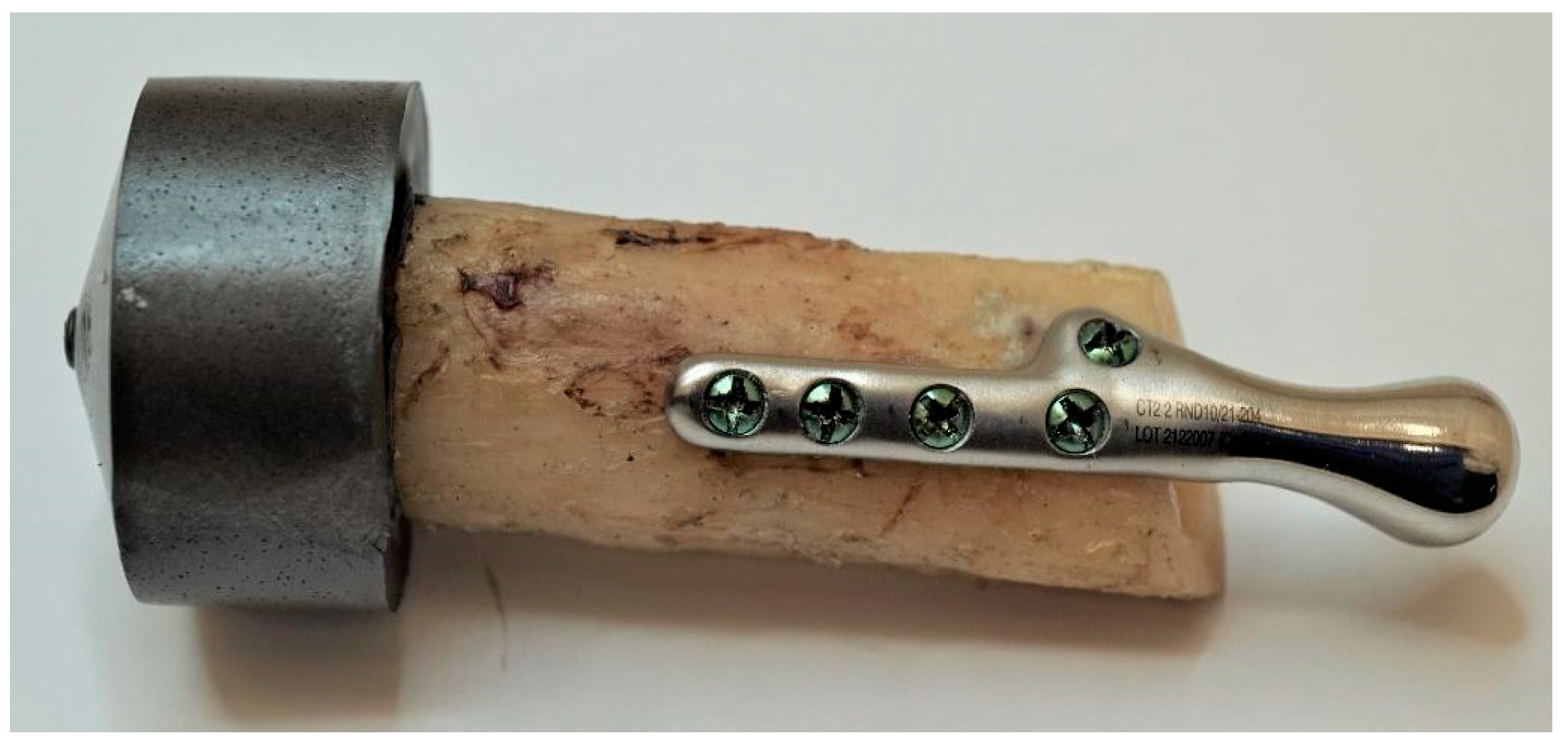 Bioengineering 10 00541 g010 Bioengineering 10 00541 g010