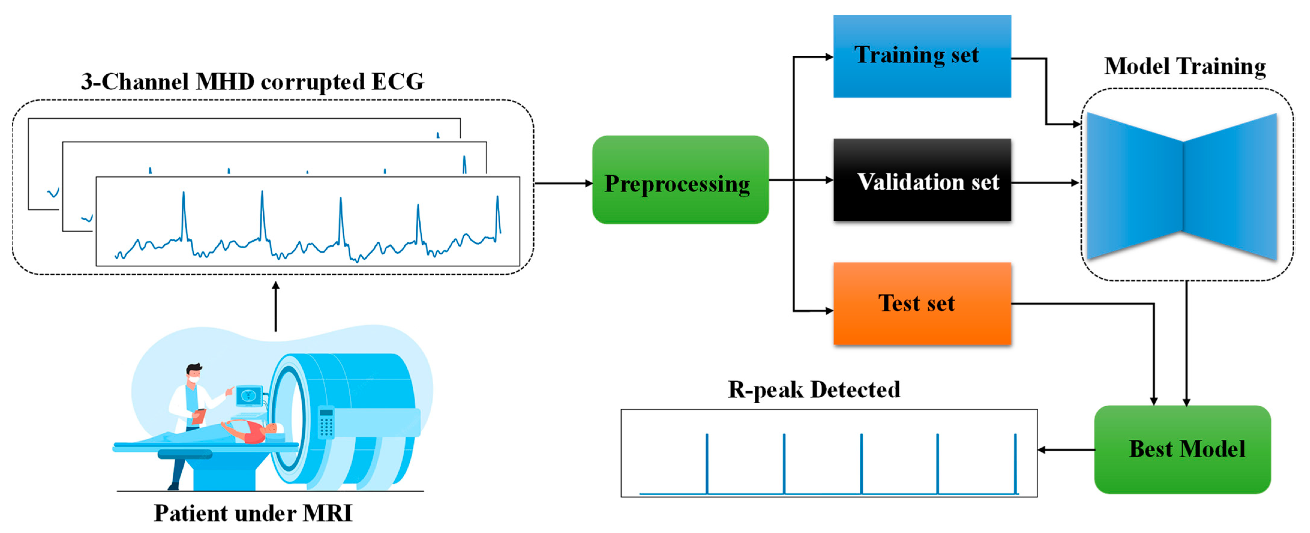 Bioengineering 10 00542 g002