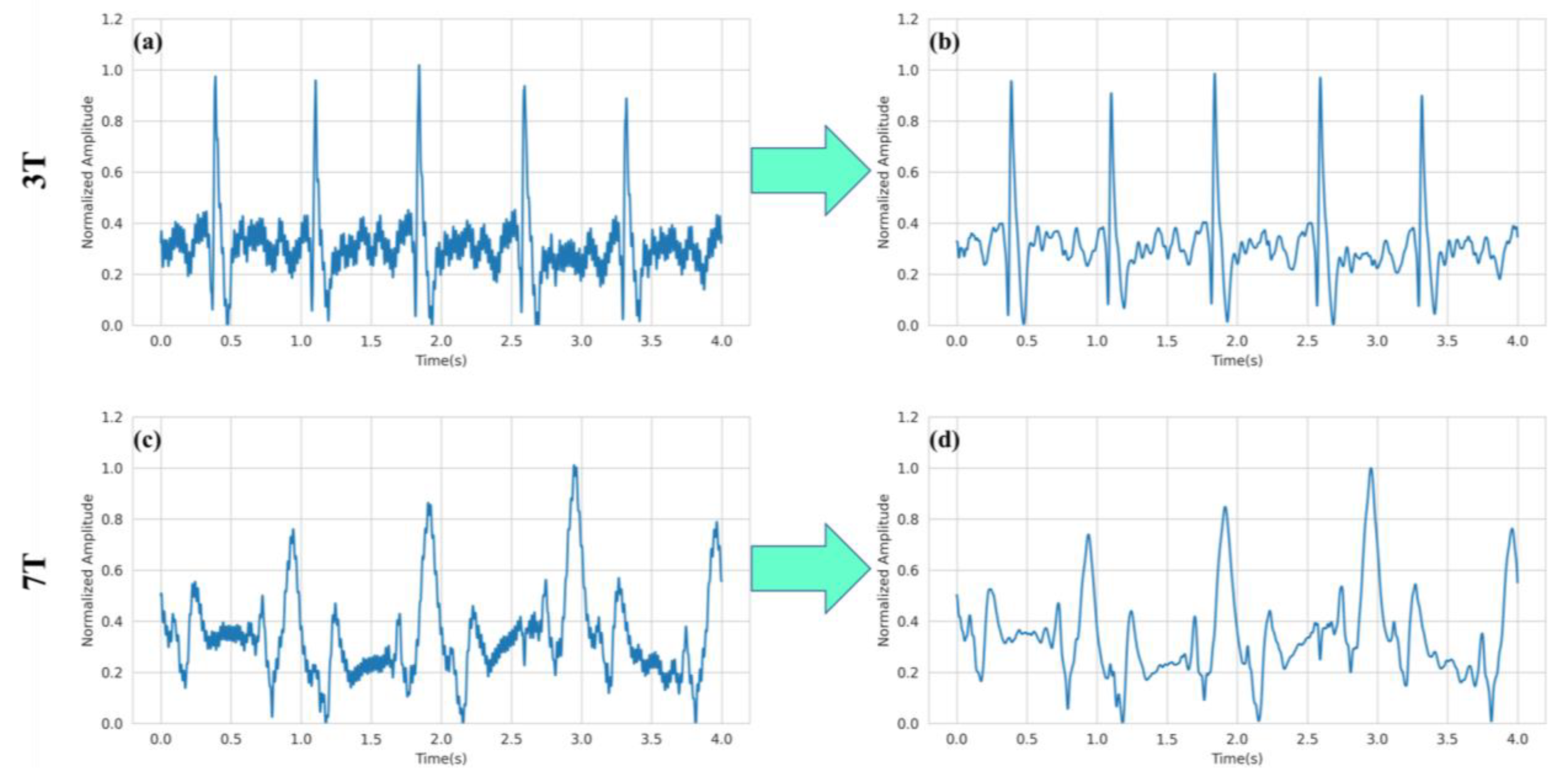 Bioengineering 10 00542 g004