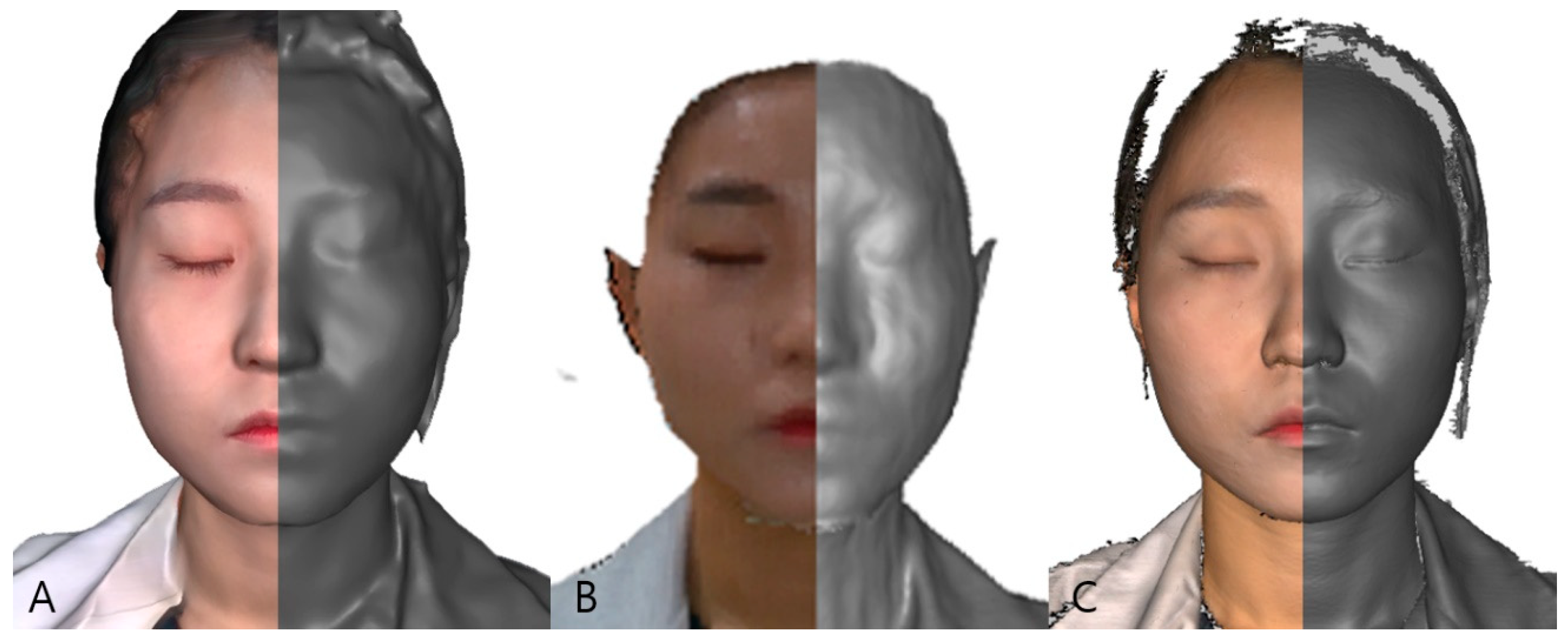 Comparative Analysis of Three Facial Scanners for Creating Digital Twins by Focusing on the