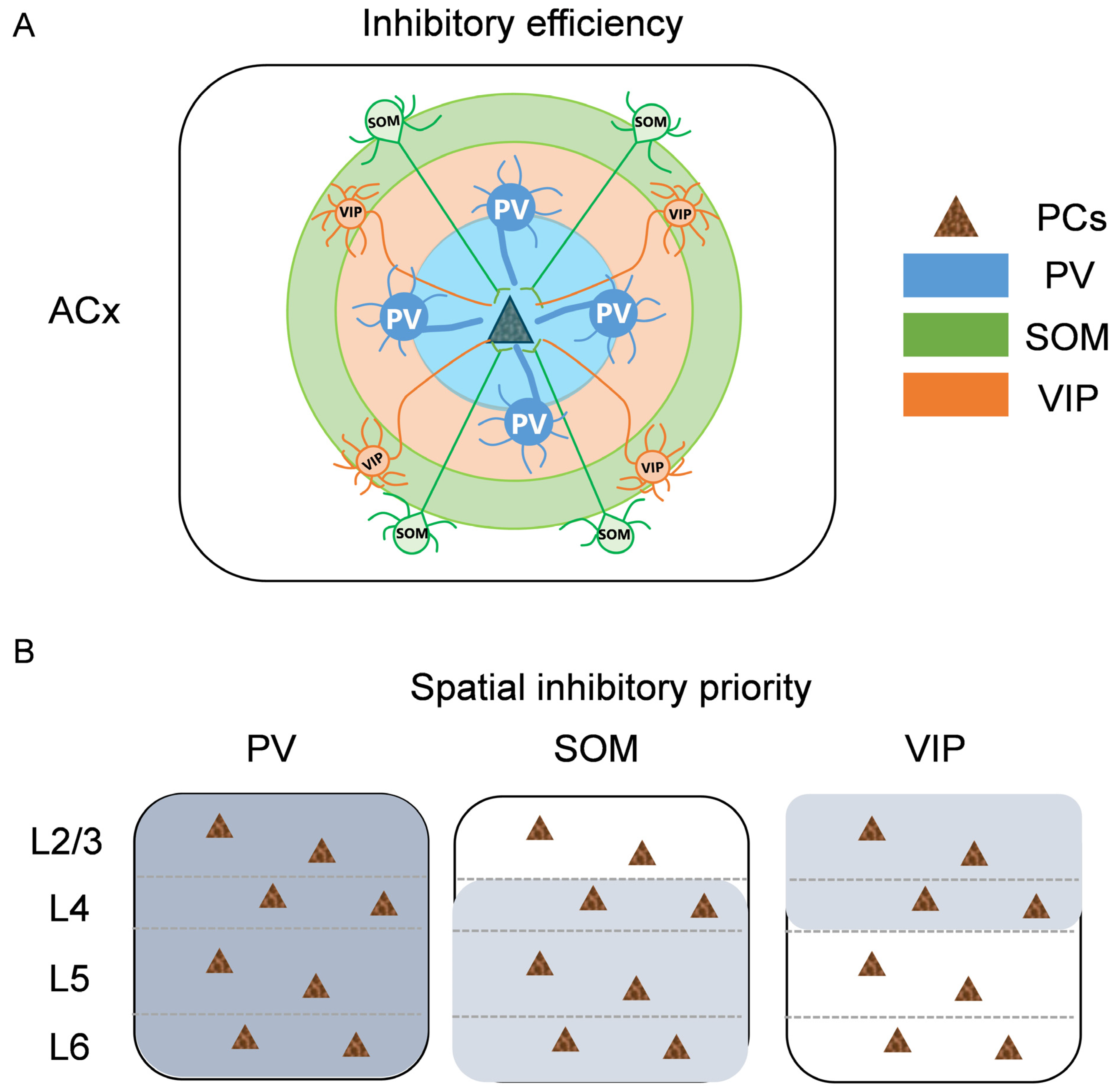Bioengineering 10 00547 g005