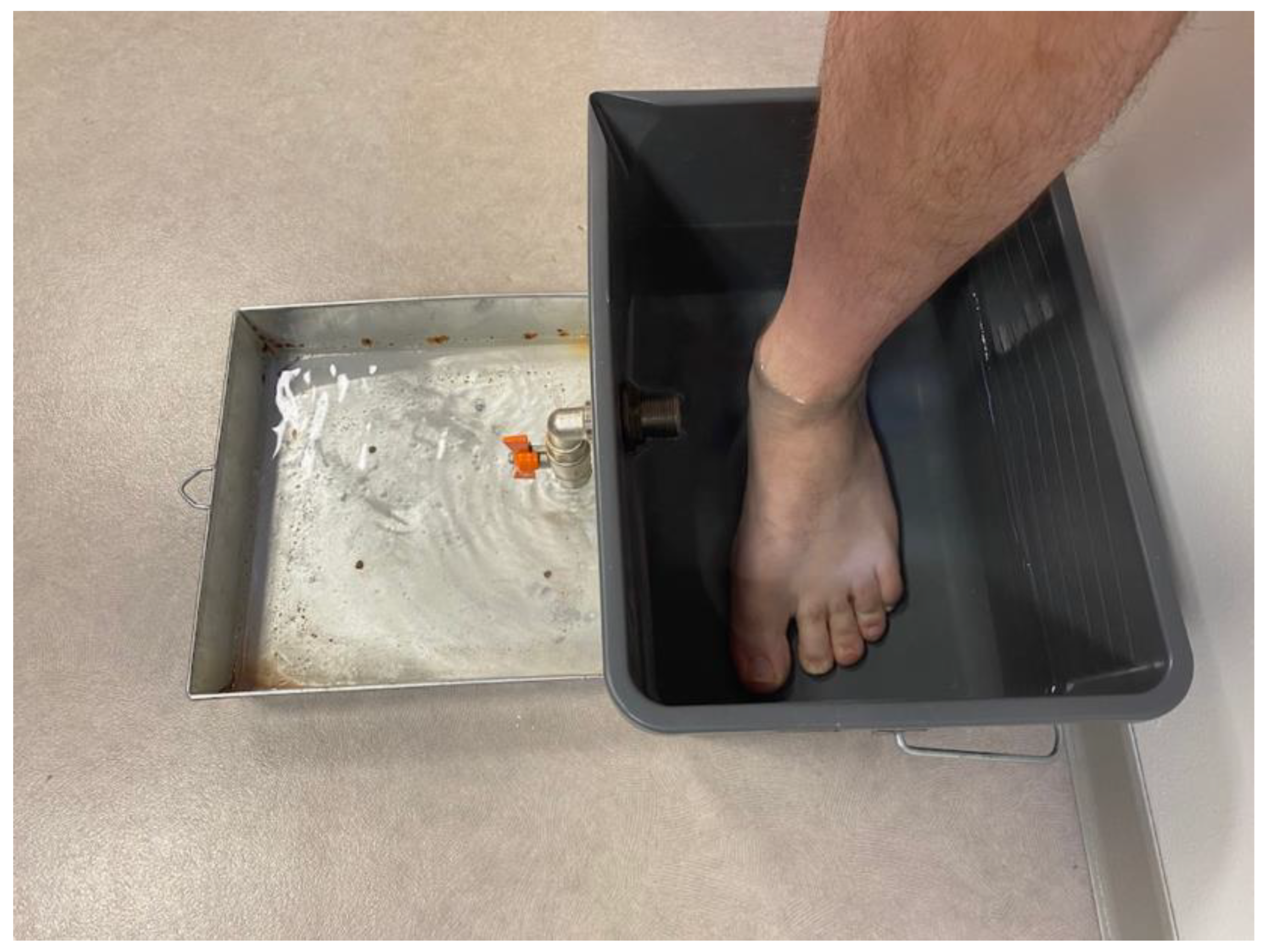 Bioengineering 10 00549 g002