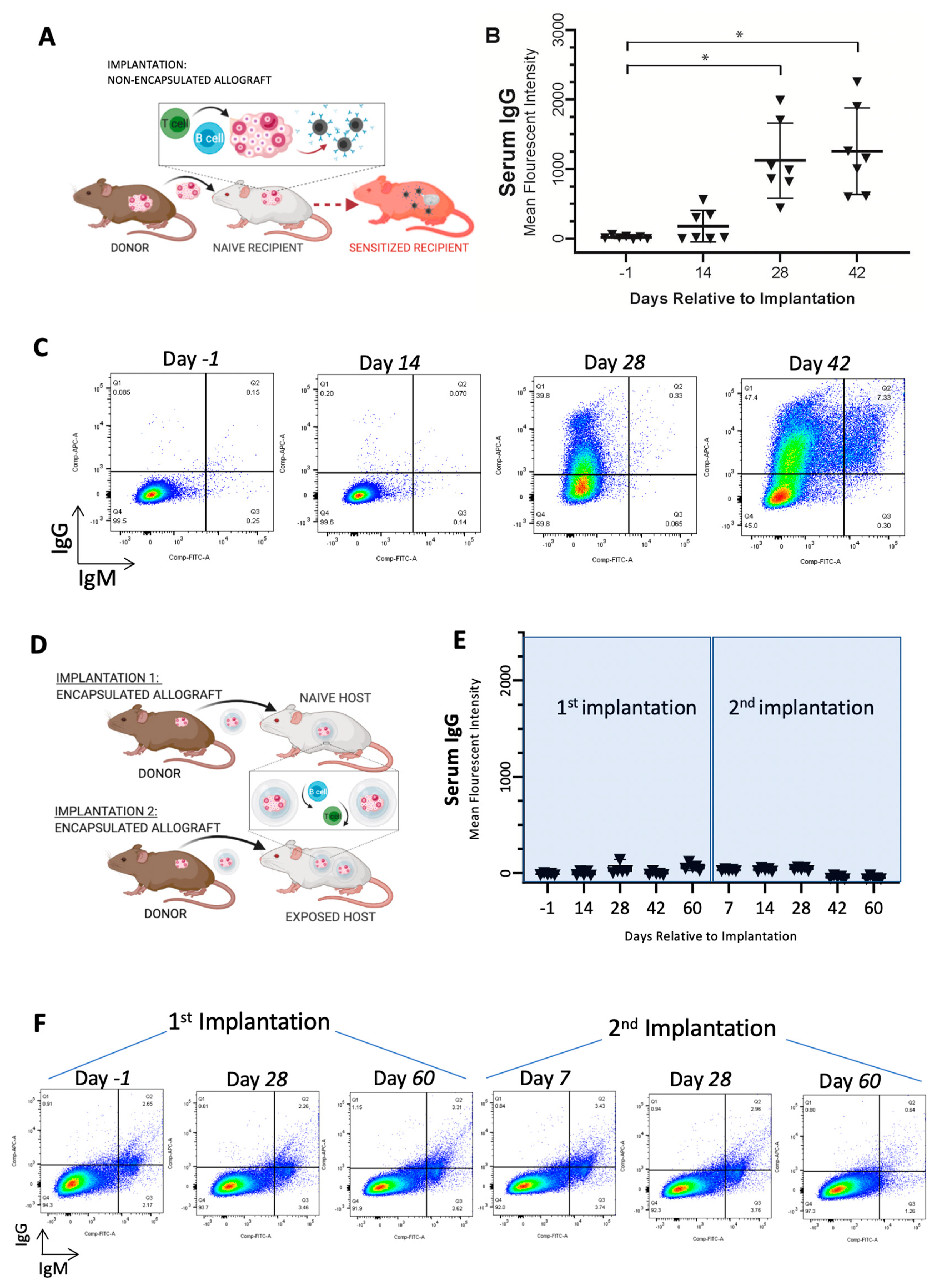 Bioengineering 10 00550 g001 Bioengineering 10 00550 g001