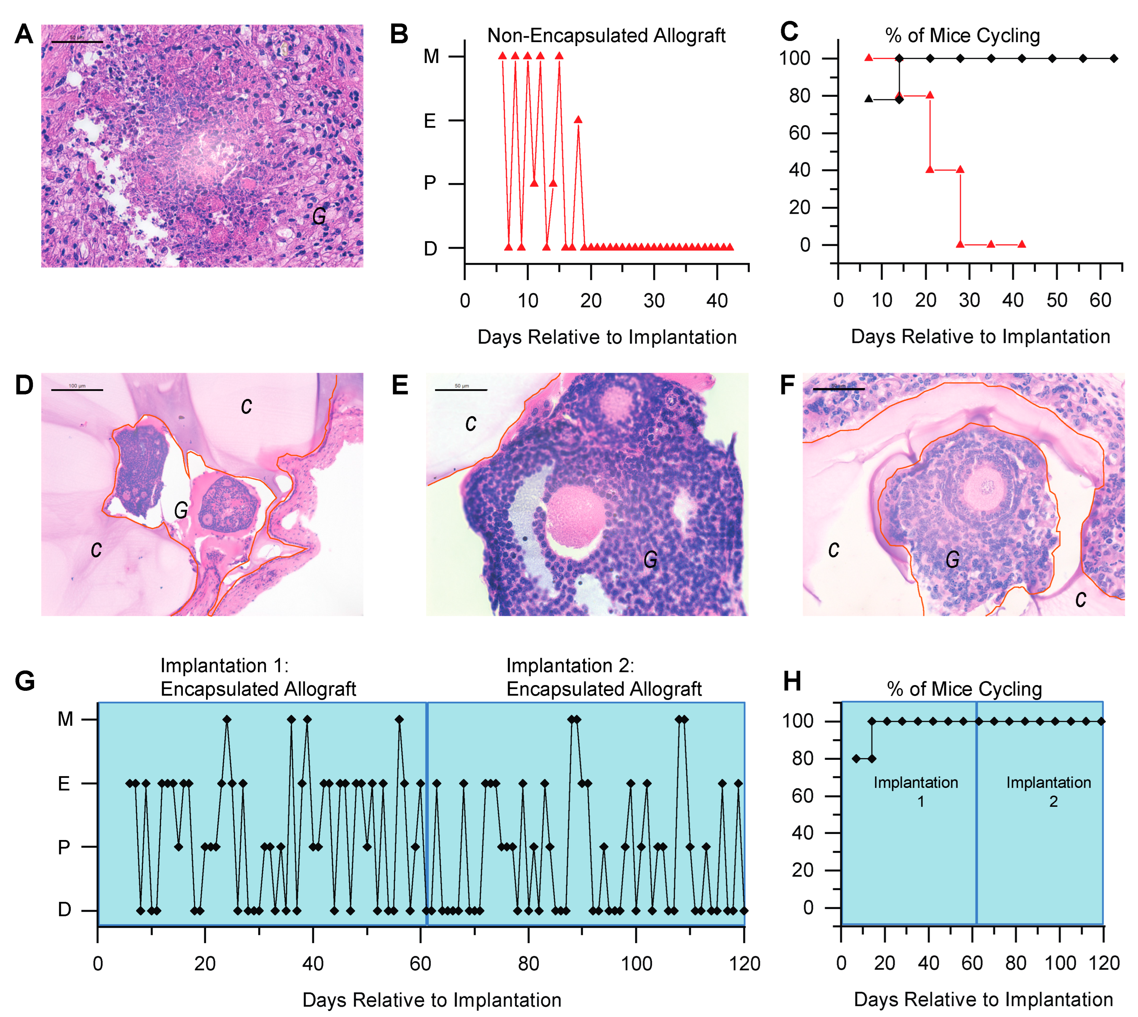 Bioengineering 10 00550 g002 Bioengineering 10 00550 g002