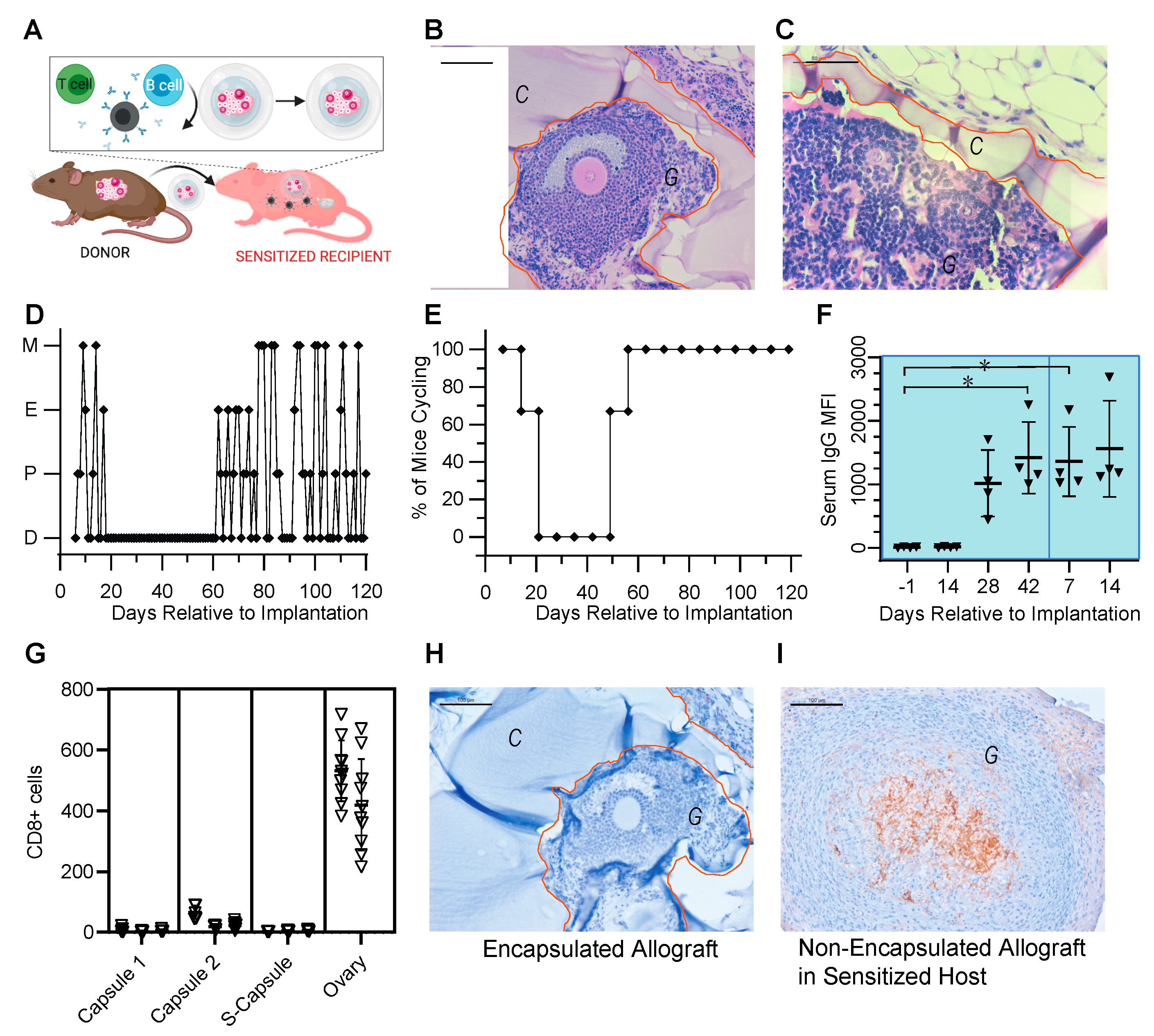 Bioengineering 10 00550 g003 Bioengineering 10 00550 g003