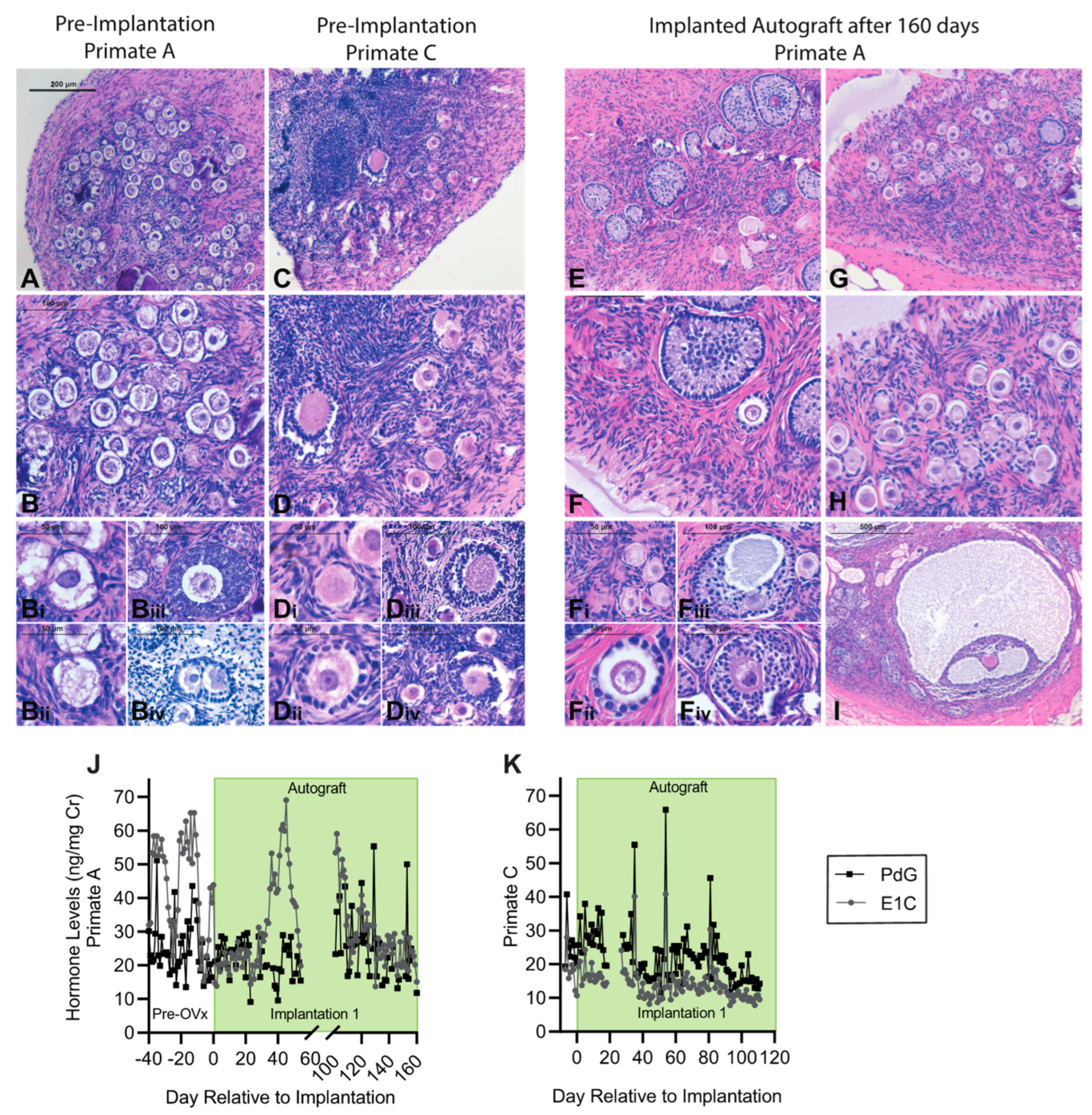 Bioengineering 10 00550 g005 Bioengineering 10 00550 g005