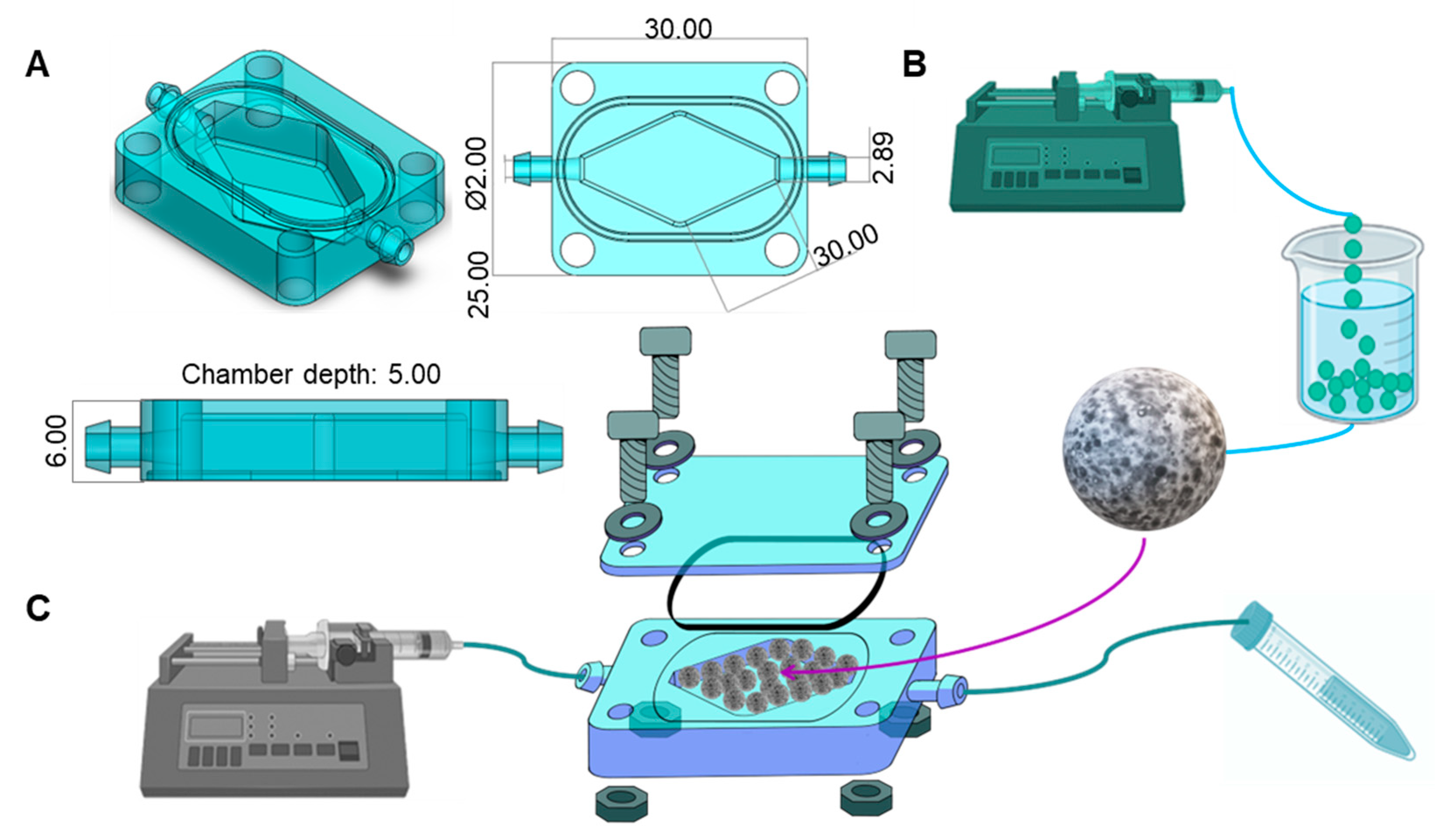 Bioengineering 10 00554 g001