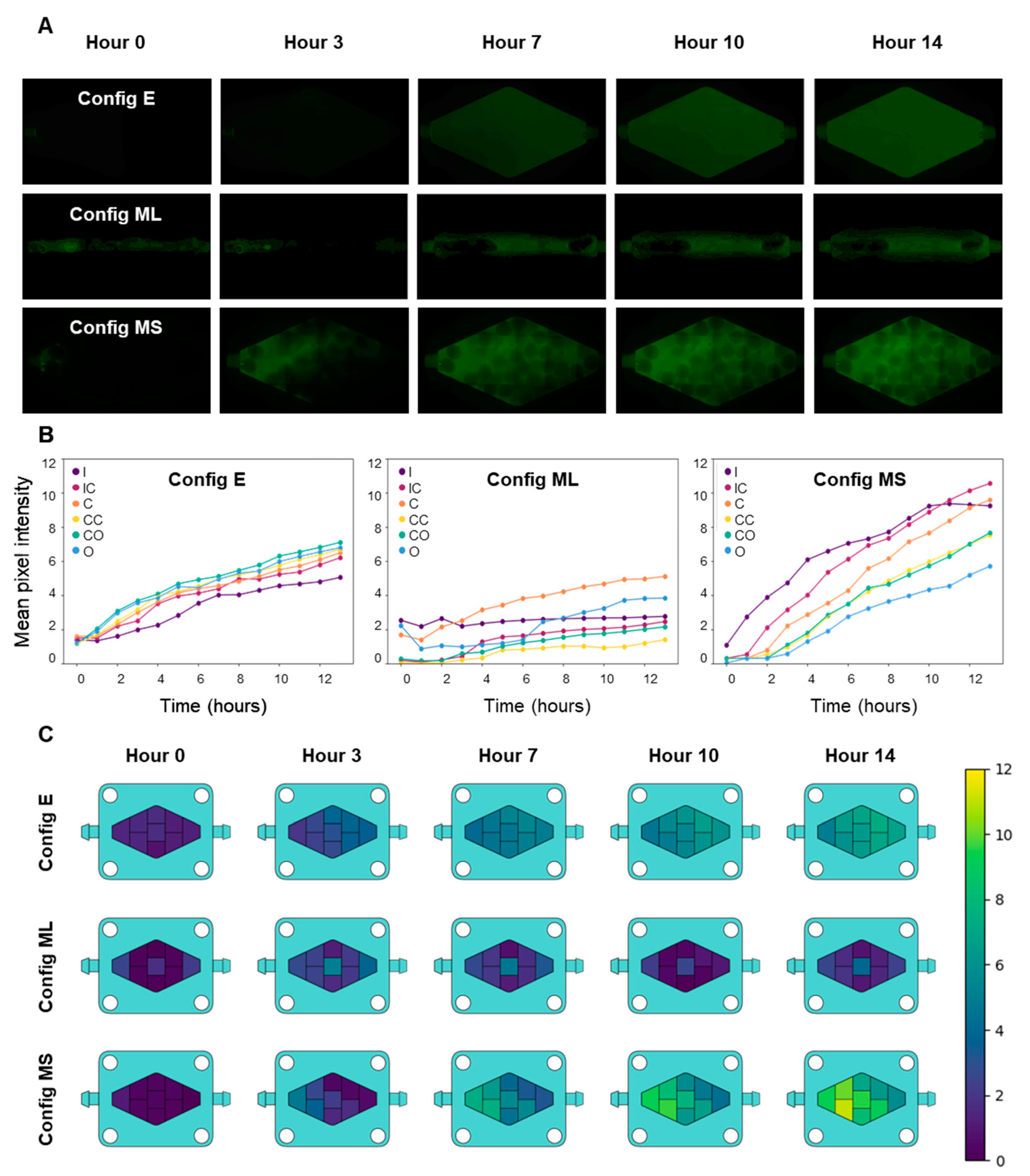 Bioengineering 10 00554 g002