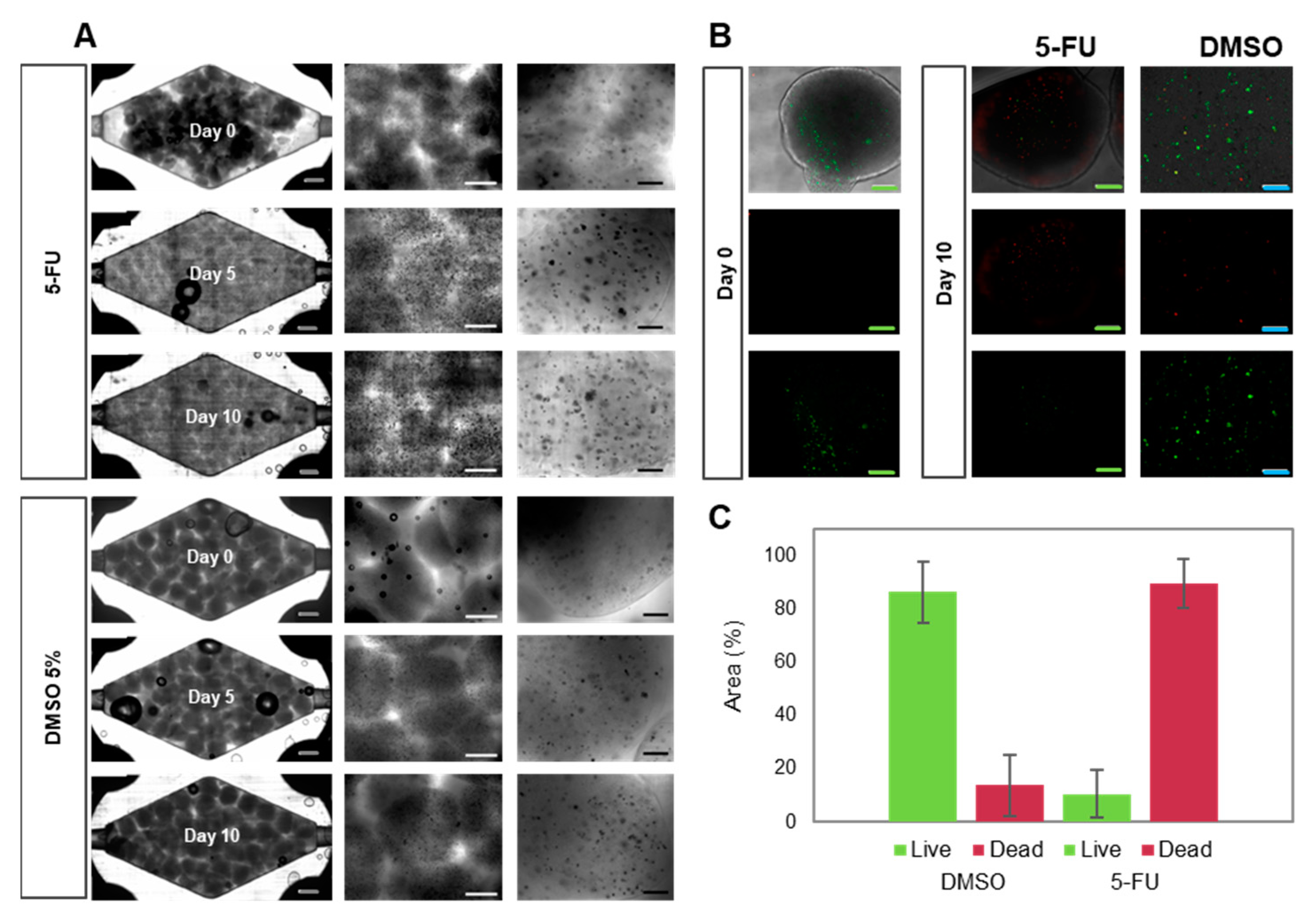 Bioengineering 10 00554 g004