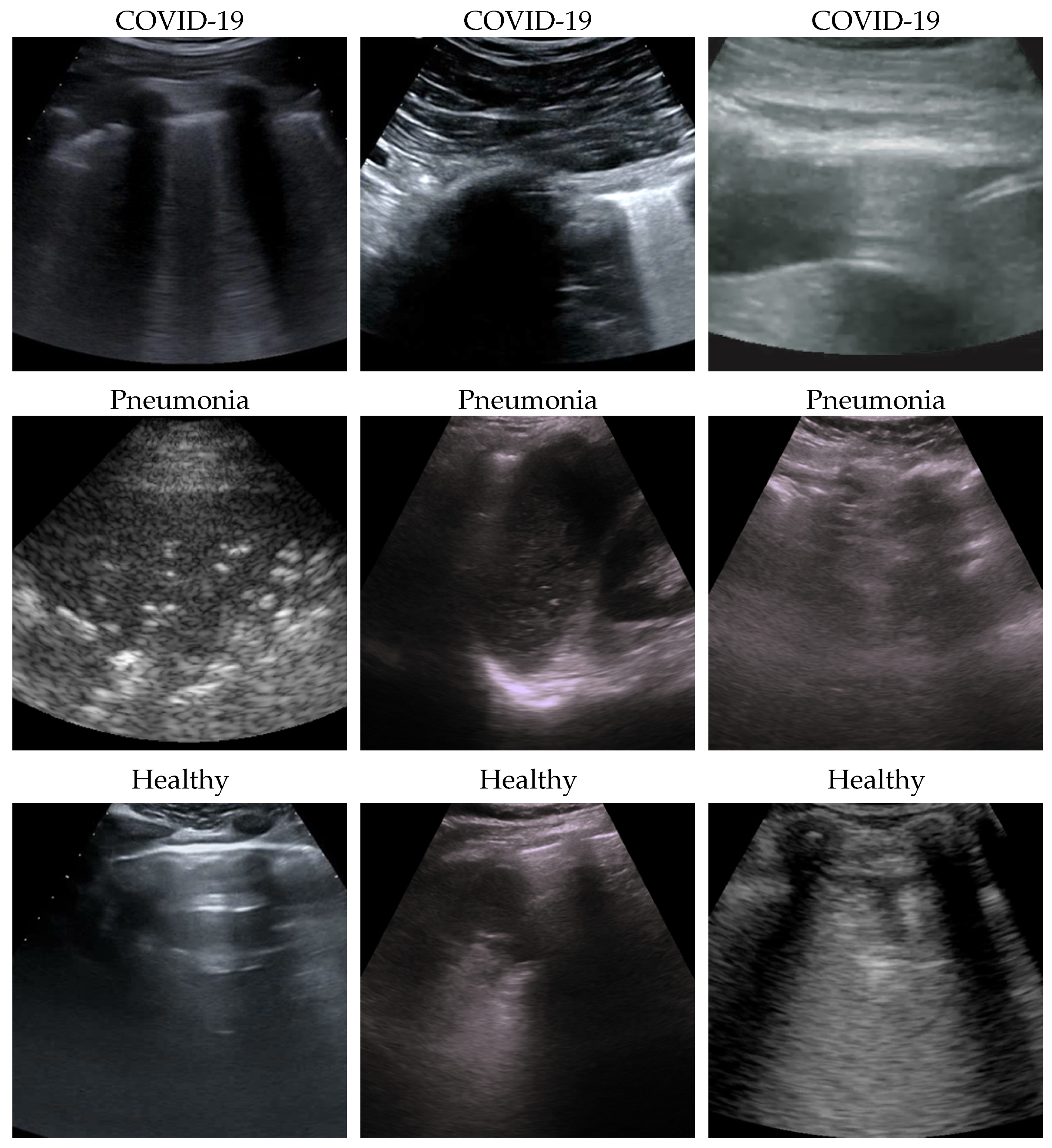 Bioengineering 10 00555 g001