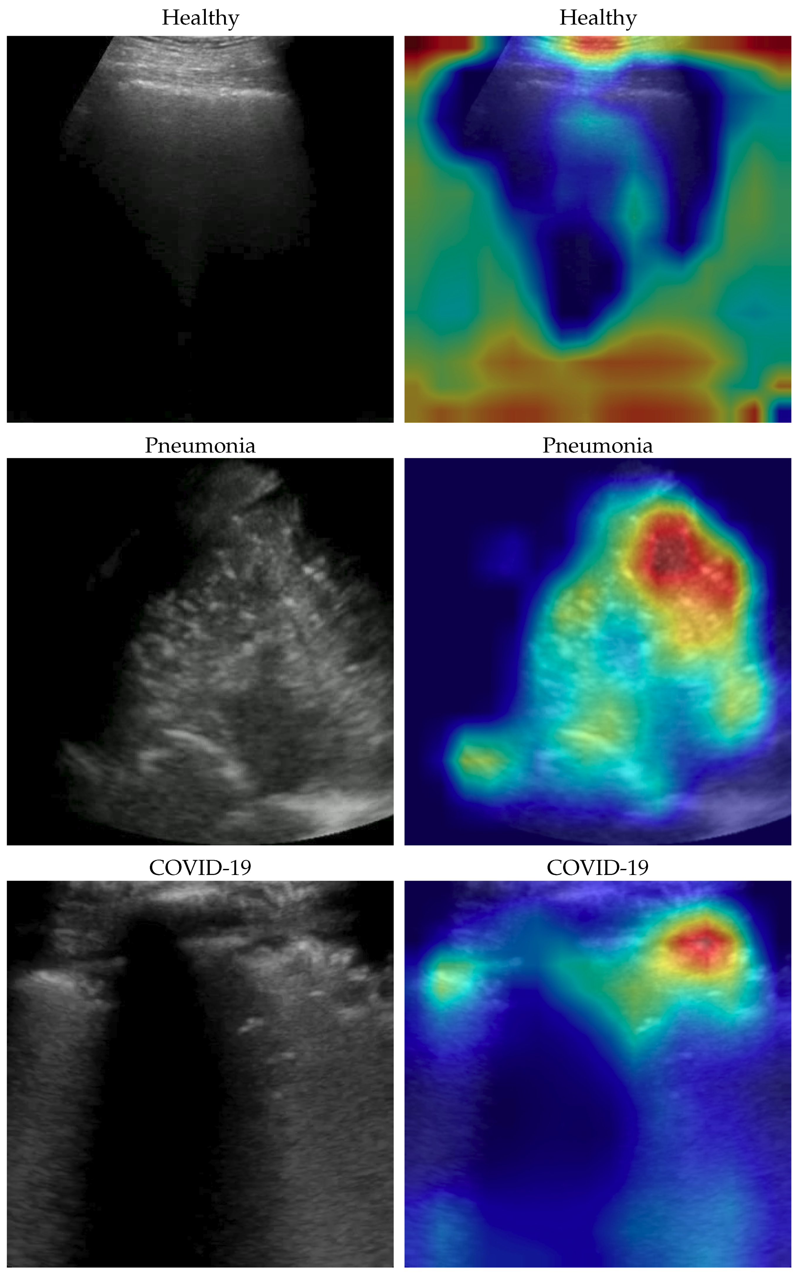 Bioengineering 10 00555 g003