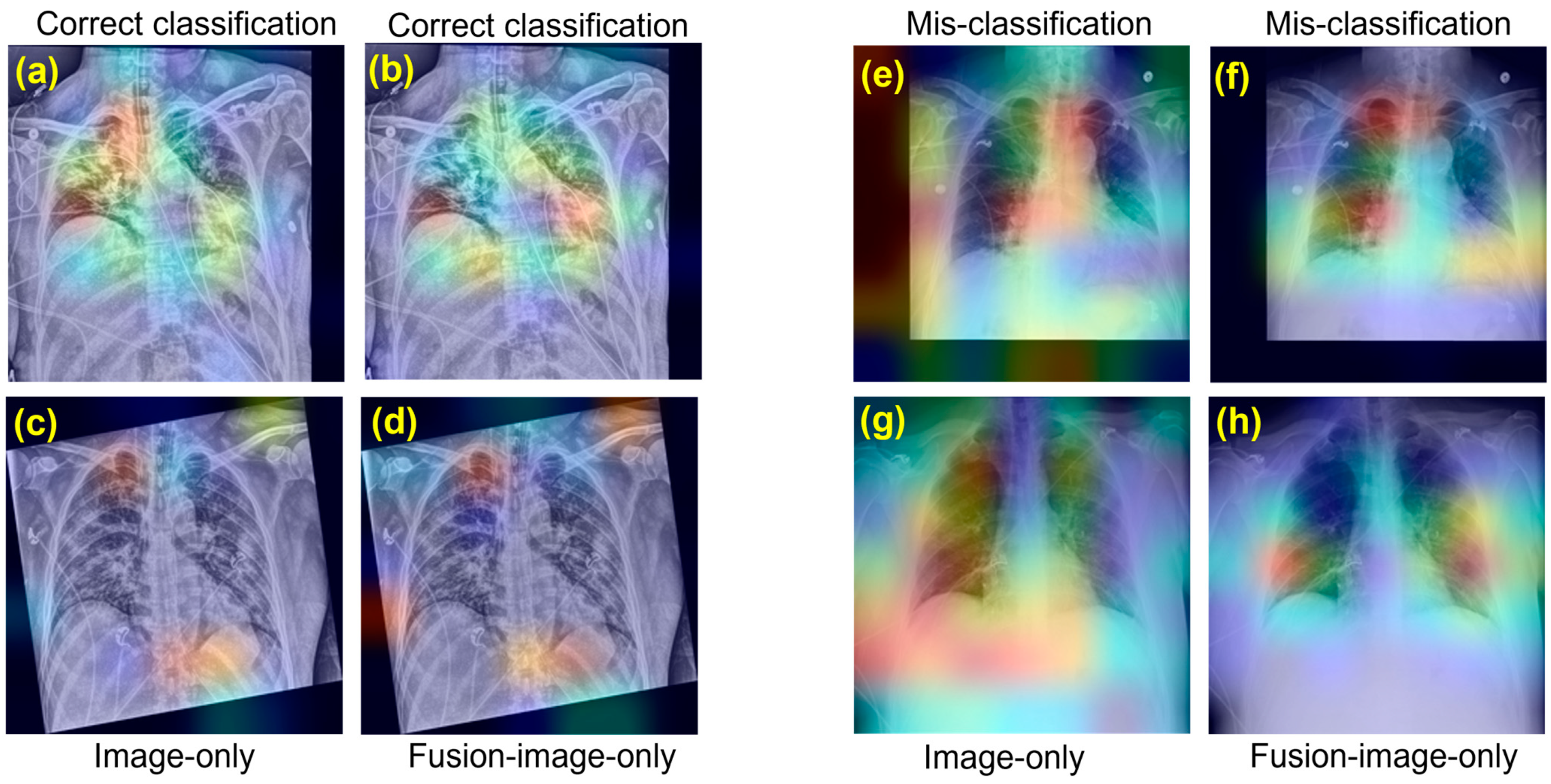 Bioengineering 10 00556 g002