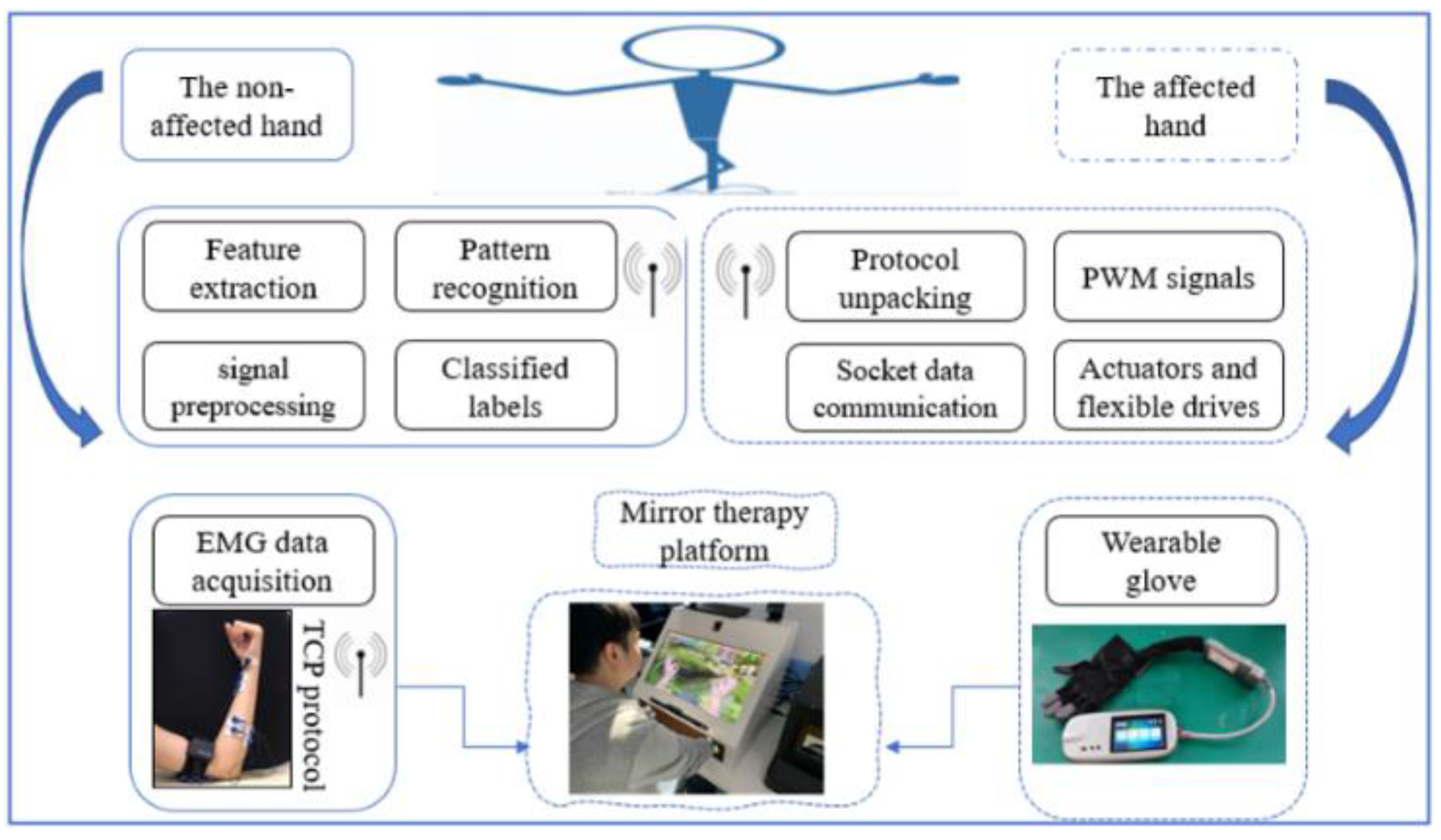 Bioengineering 10 00557 g001
