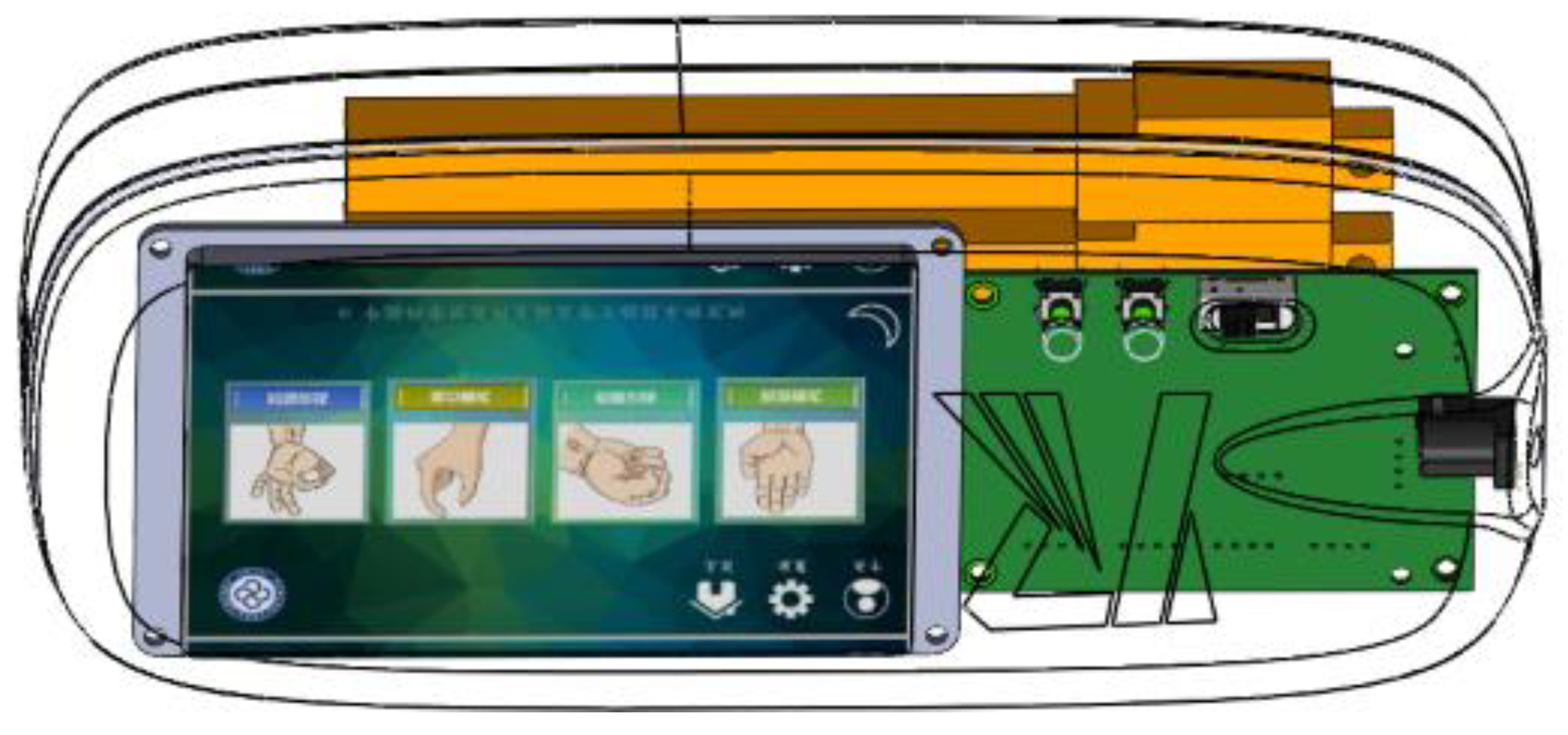 Bioengineering 10 00557 g002b