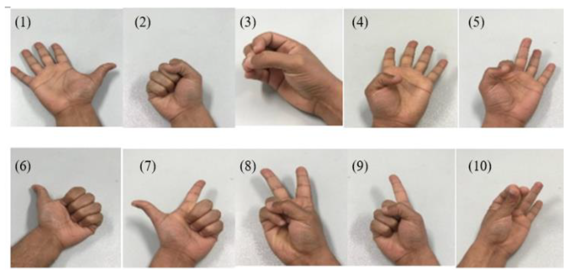 Bioengineering 10 00557 g010