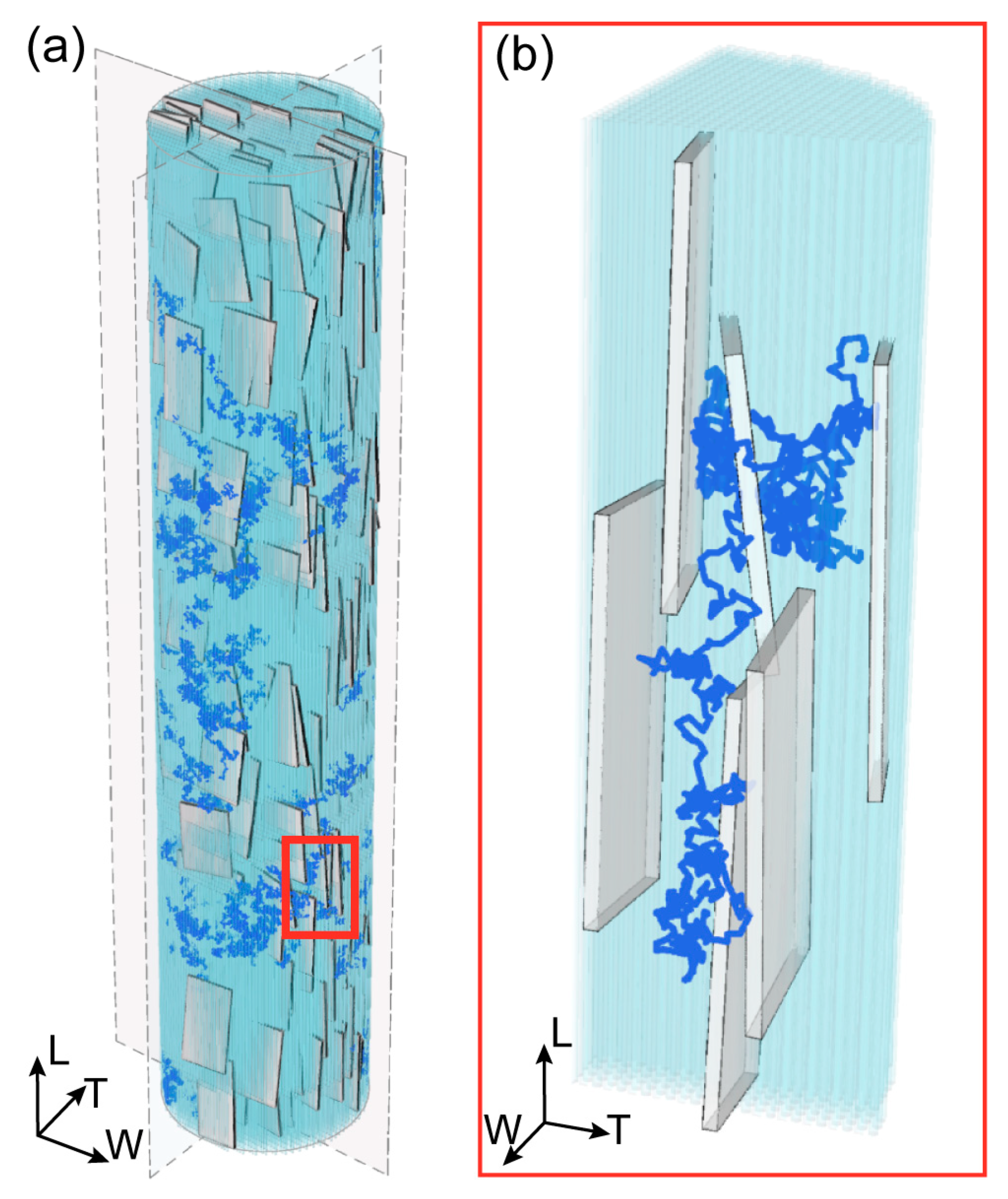 Bioengineering 10 00558 g001