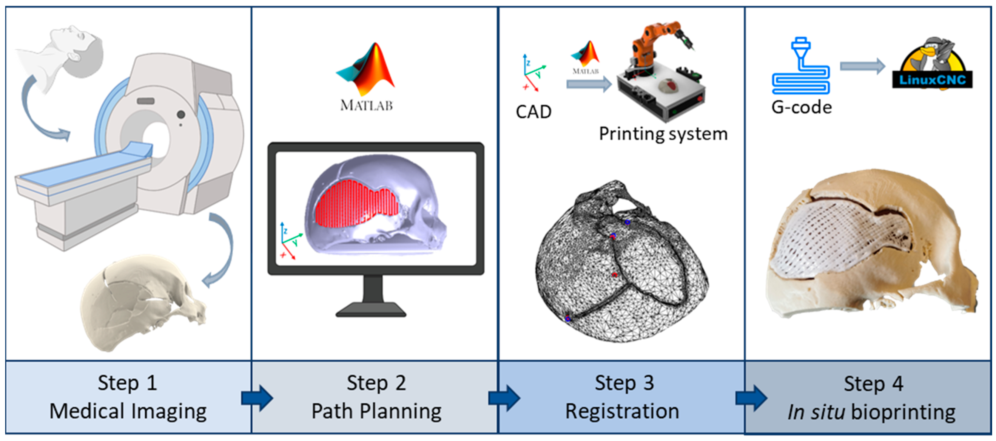 Bioengineering 10 00560 g001 Bioengineering 10 00560 g001