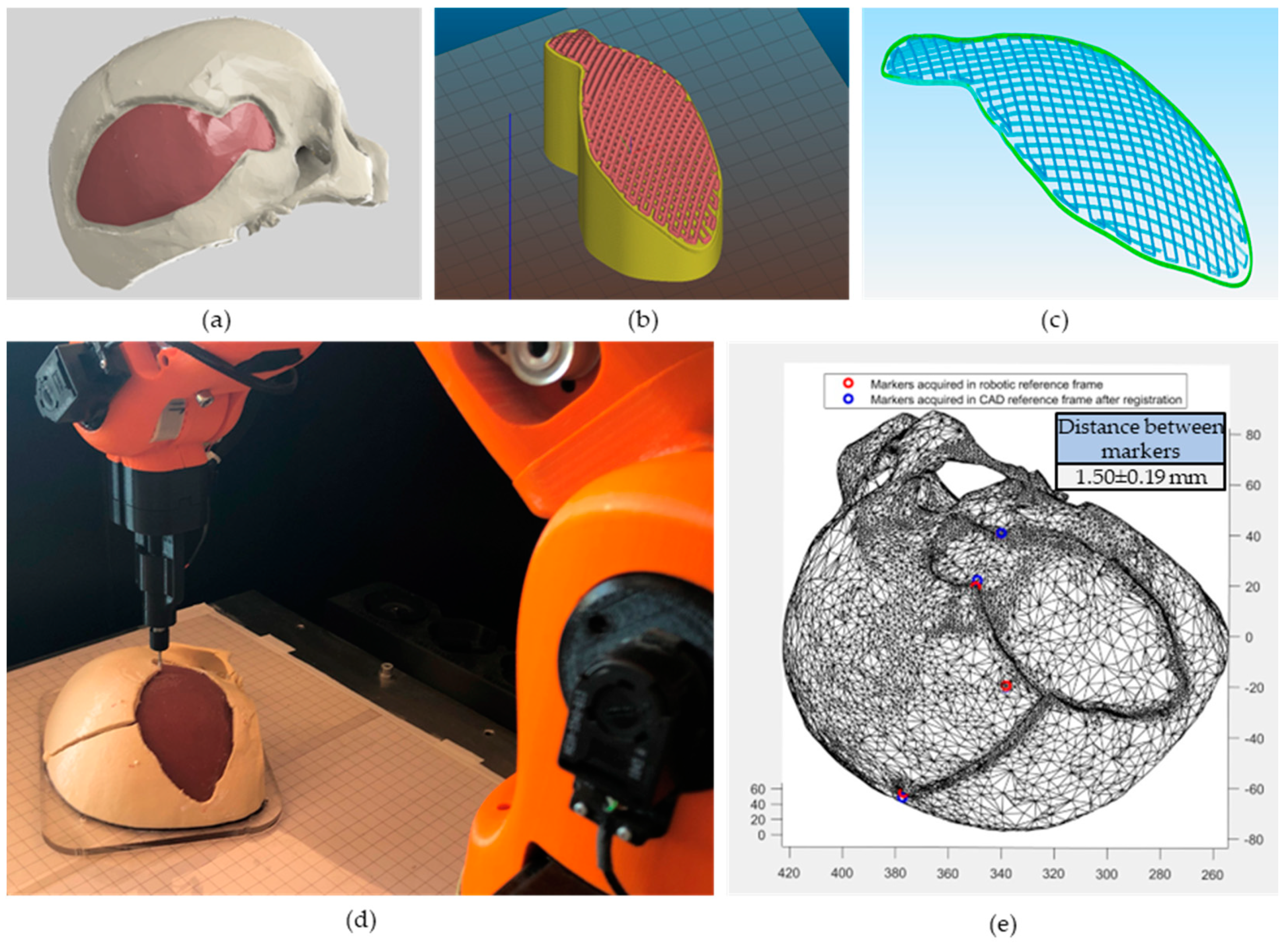 Bioengineering 10 00560 g004 Bioengineering 10 00560 g004