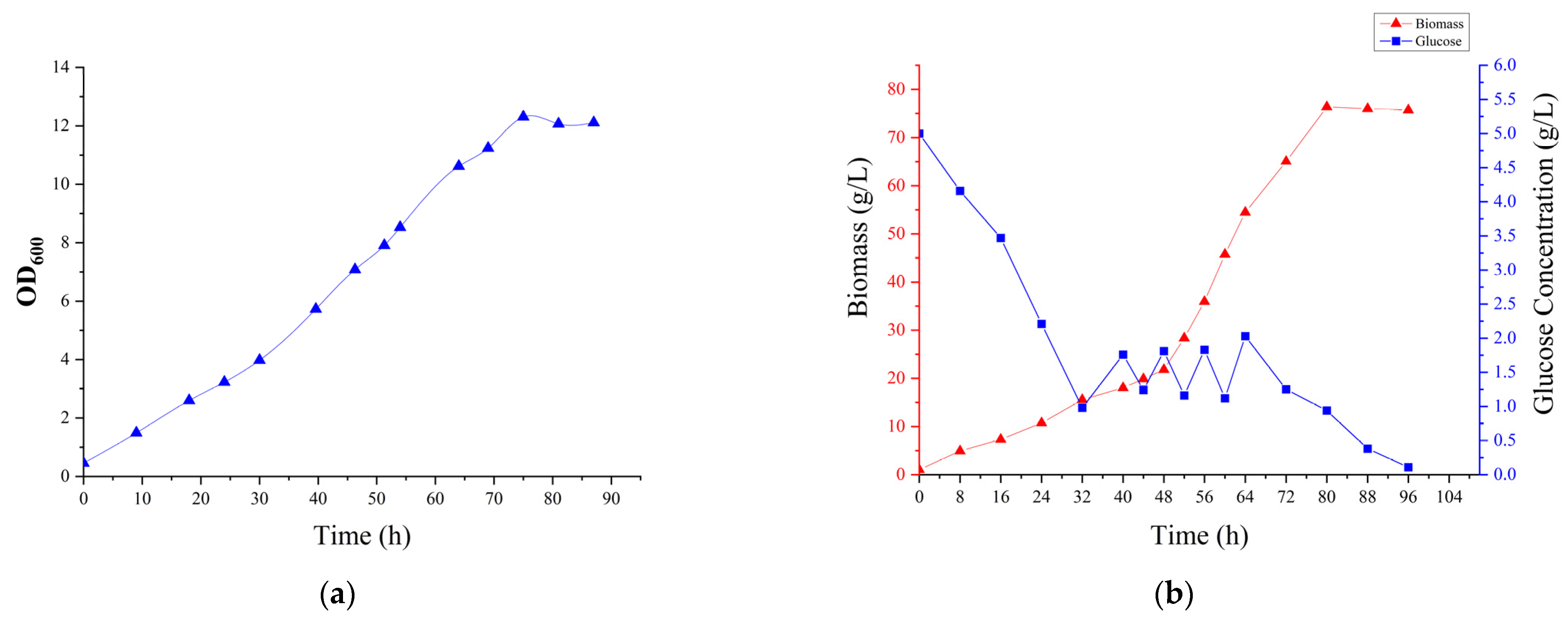Bioengineering 10 00561 g003
