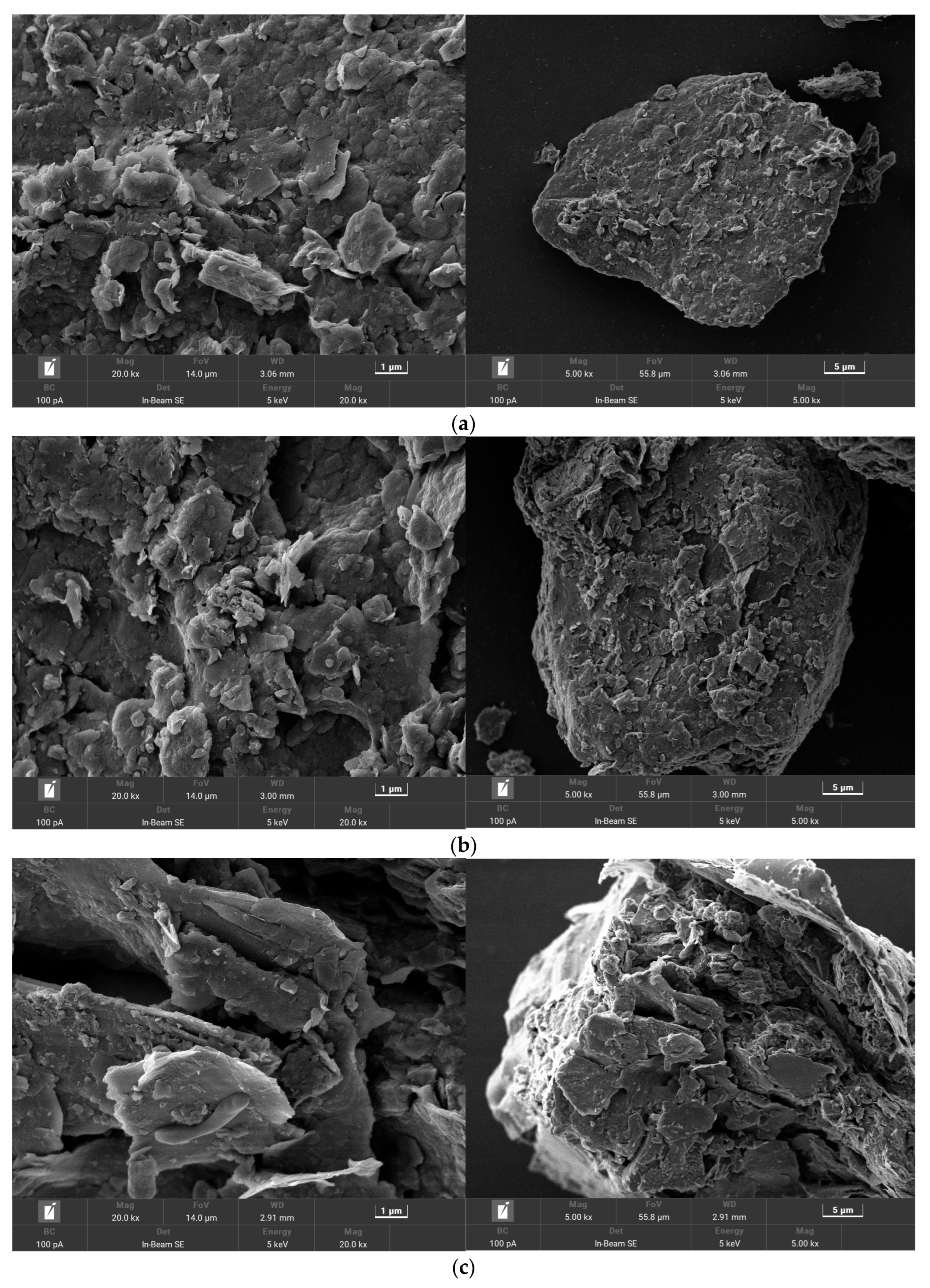 Bioengineering 10 00561 g006a