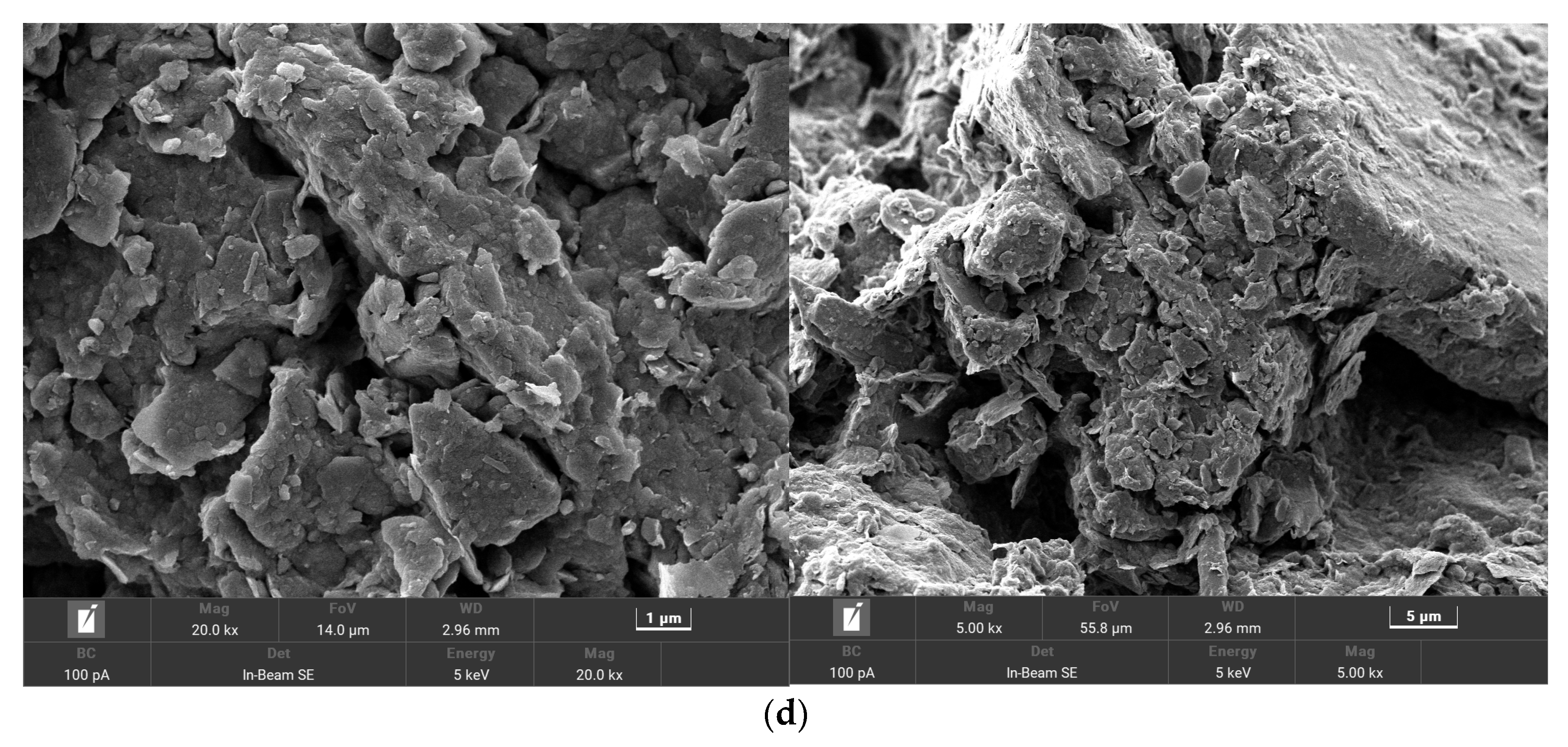 Bioengineering 10 00561 g006b