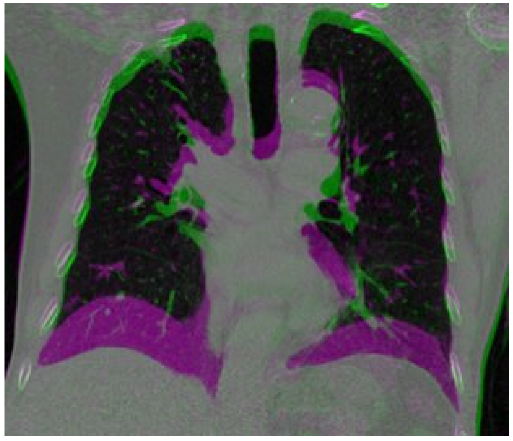Bioengineering 10 00562 g001