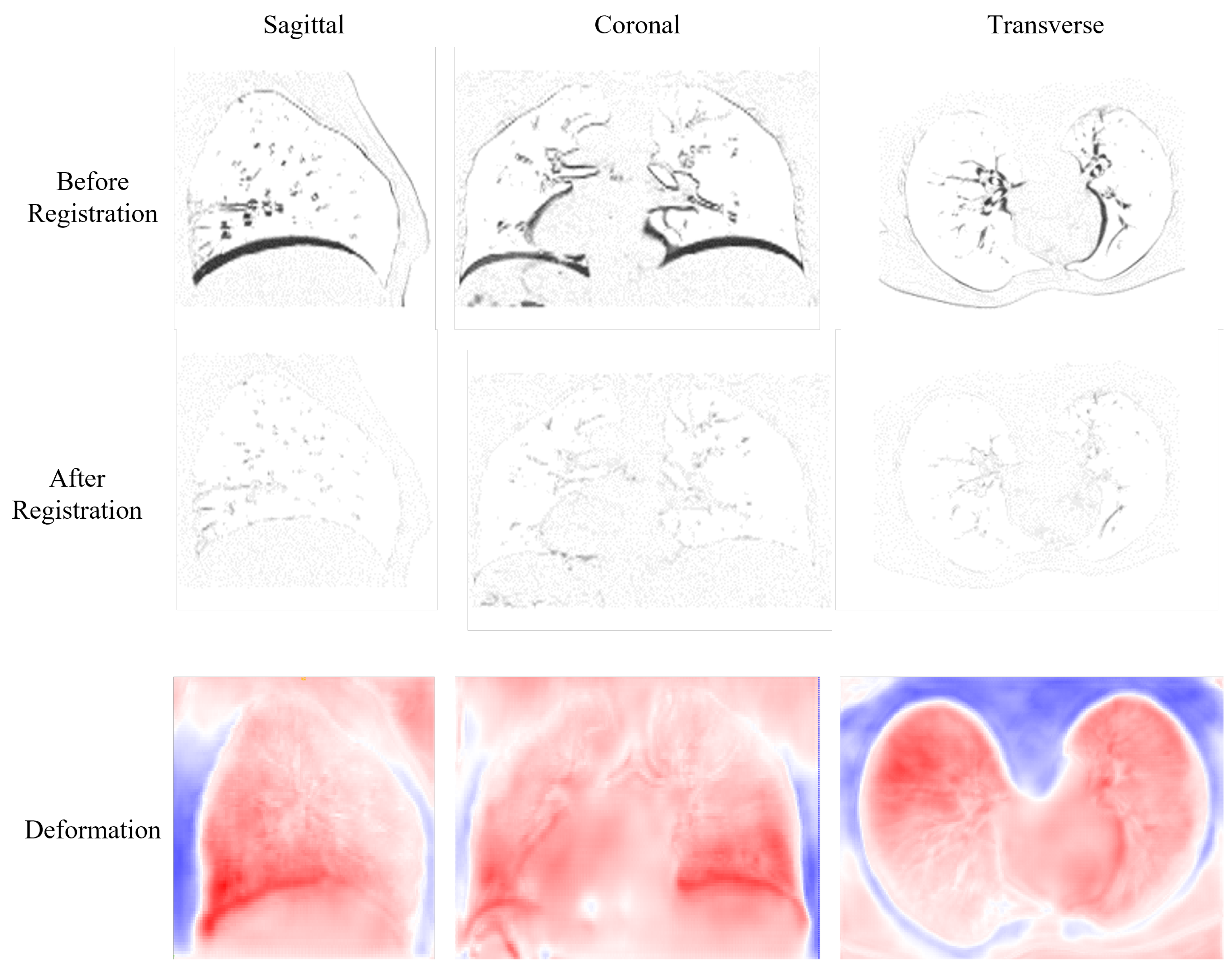 Bioengineering 10 00562 g004
