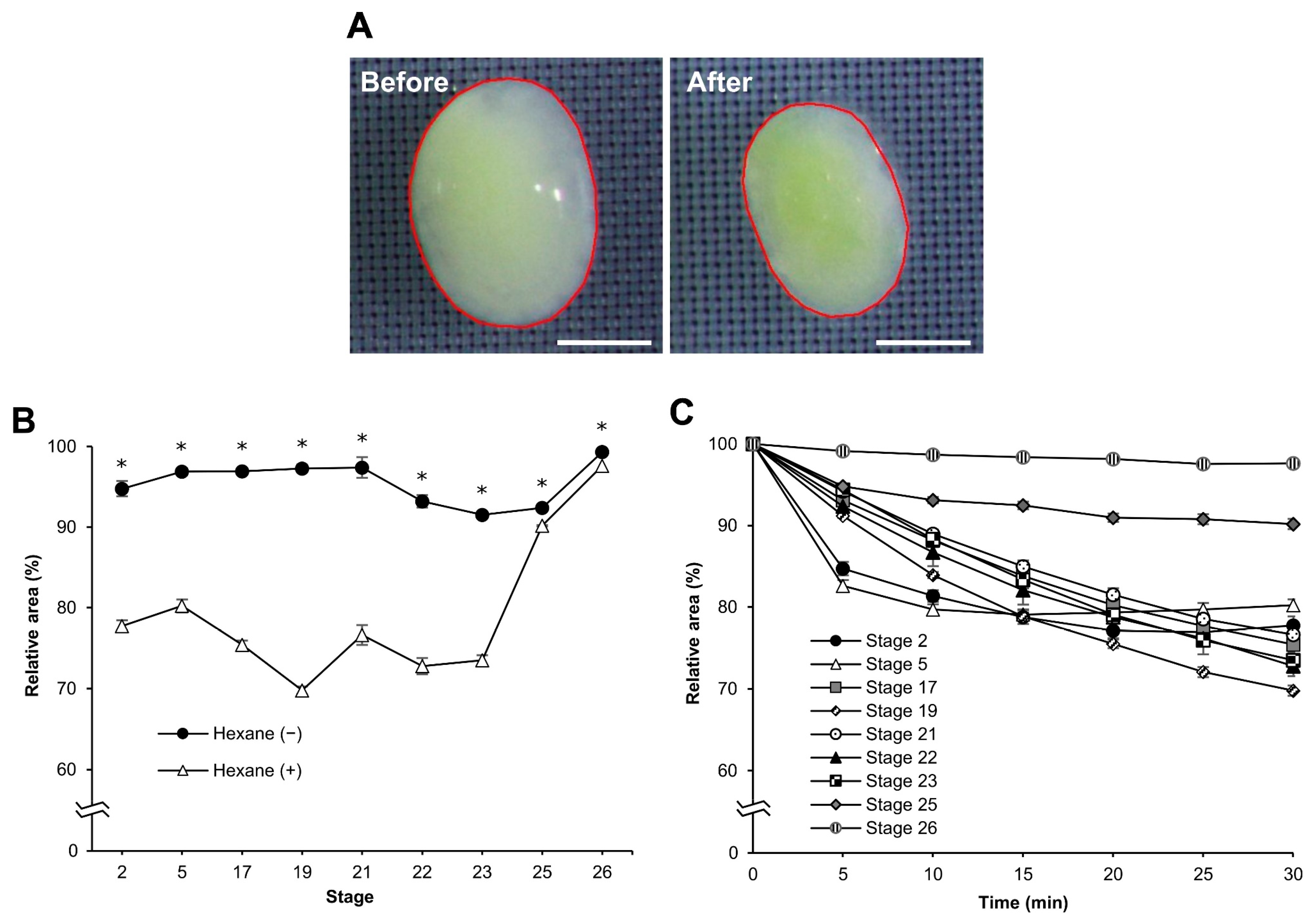 Bioengineering 10 00563 g004 Bioengineering 10 00563 g004