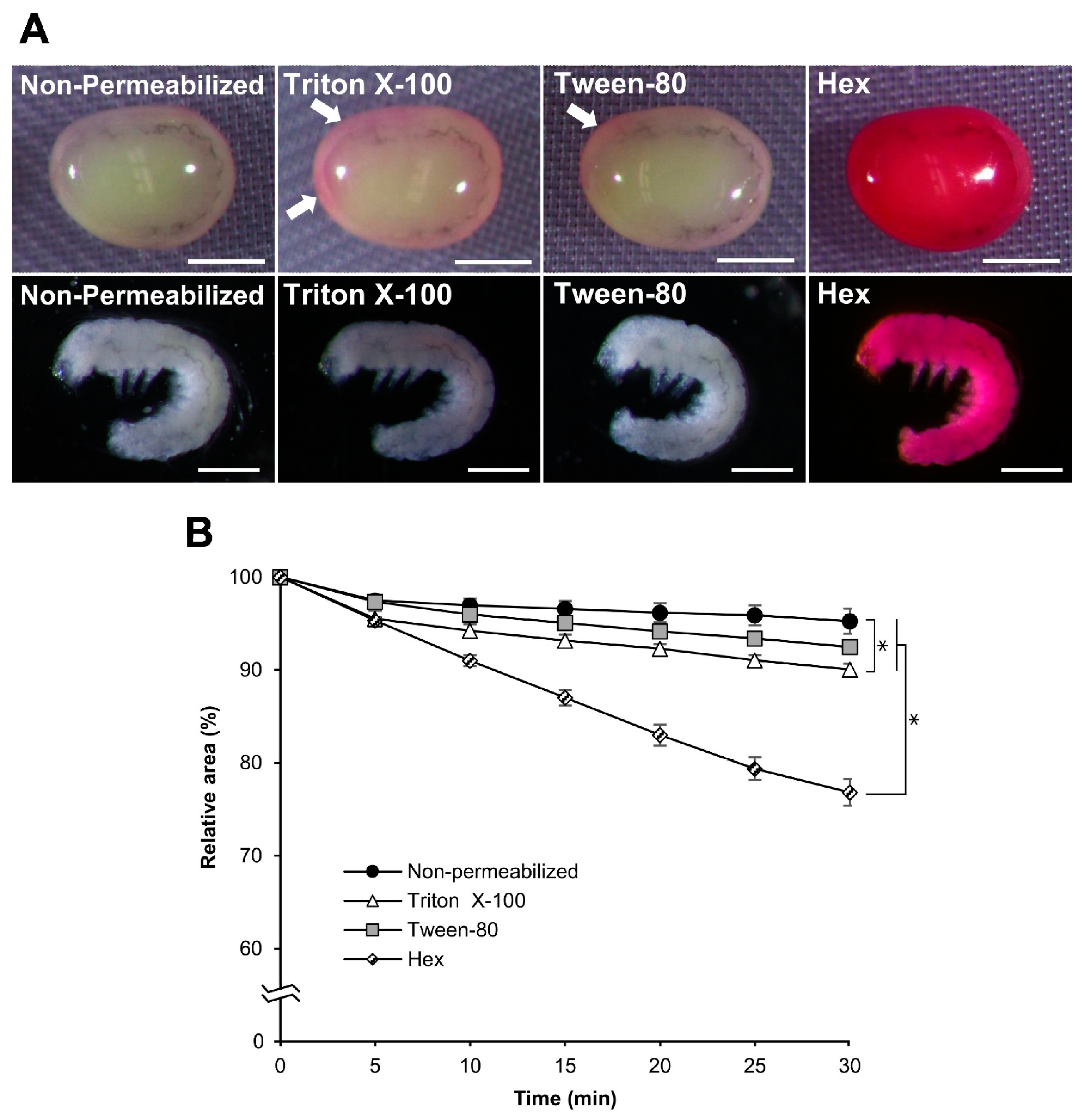 Bioengineering 10 00563 g011 Bioengineering 10 00563 g011