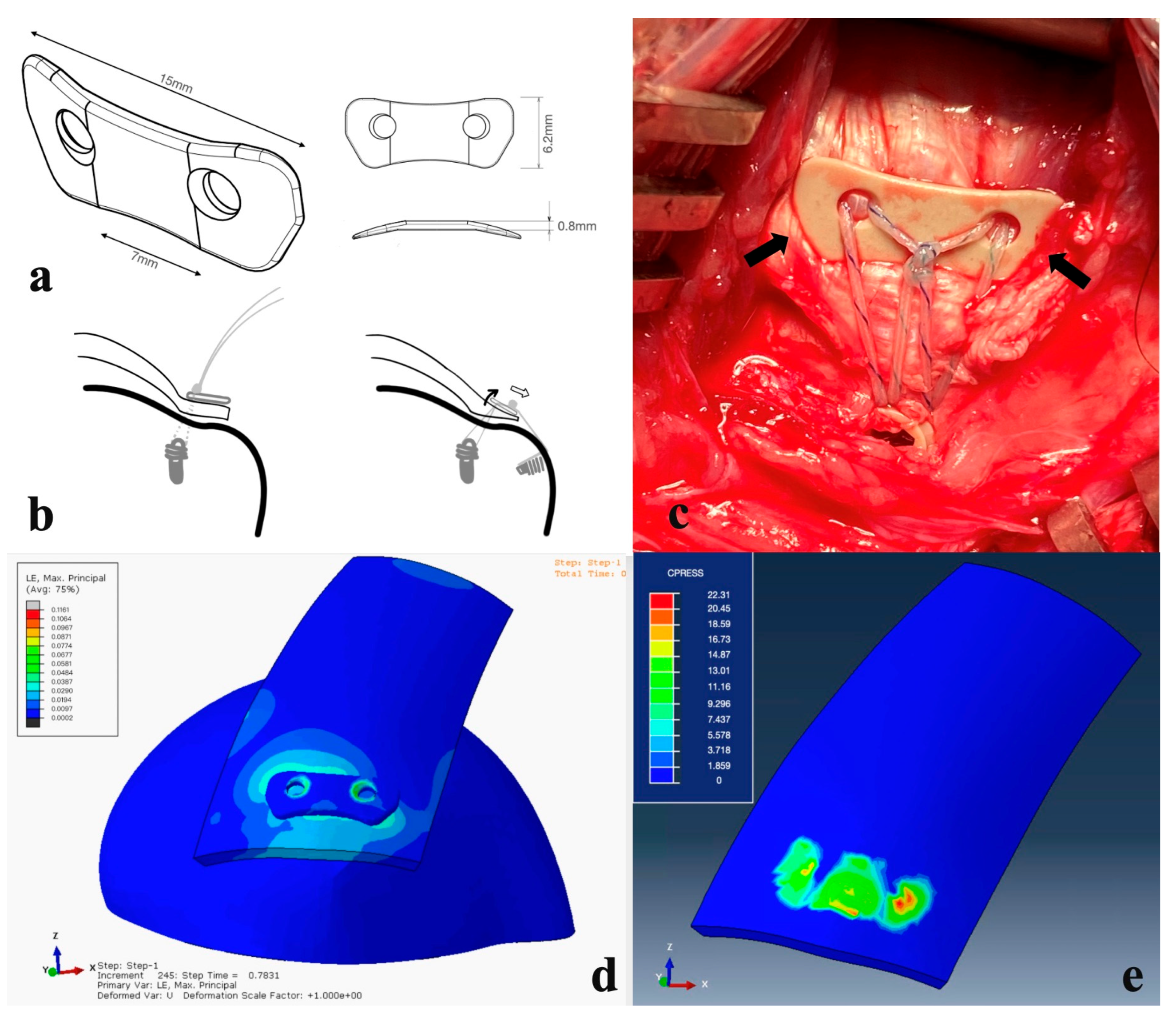 Bioengineering 10 00565 g002