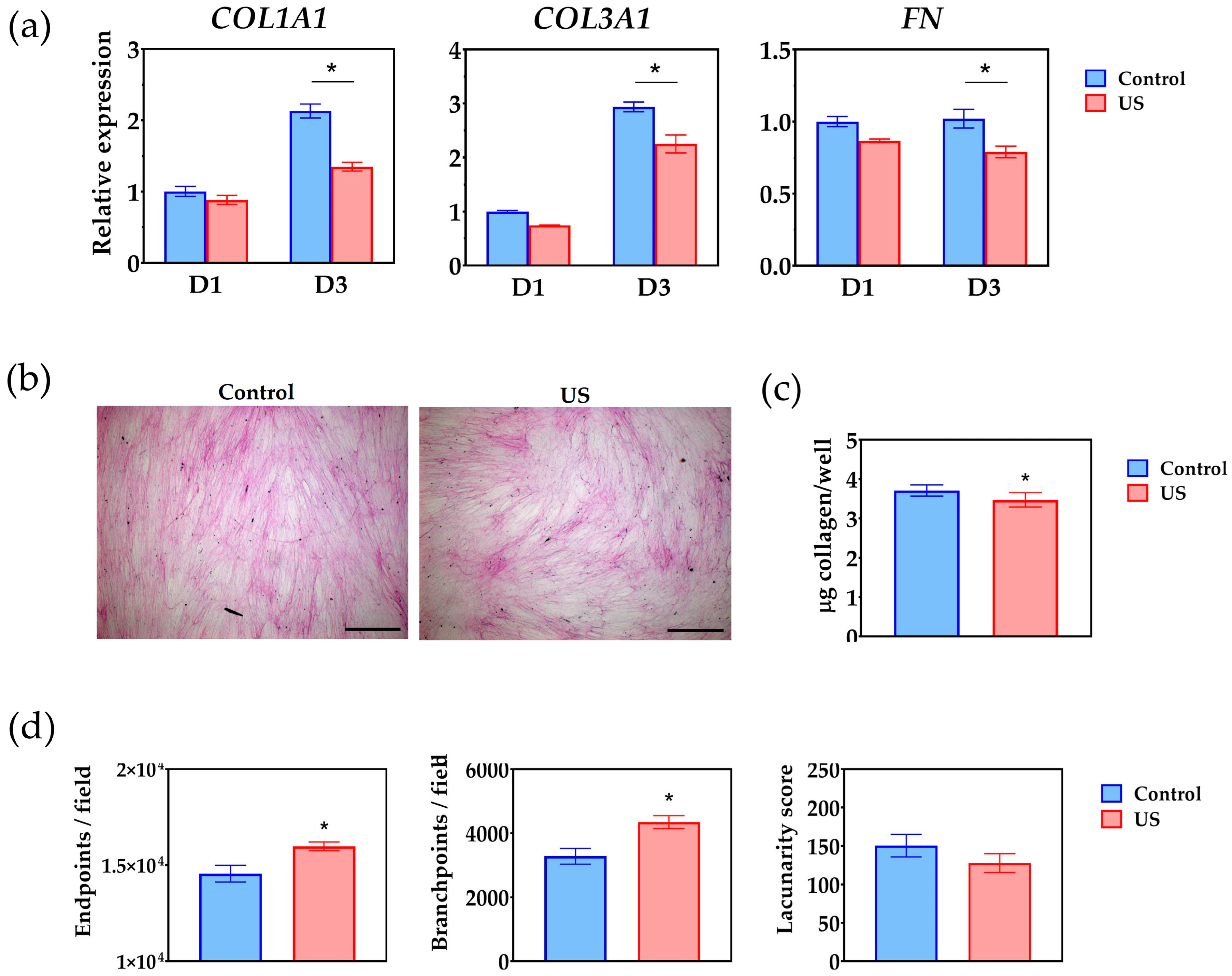 Bioengineering 10 00566 g005