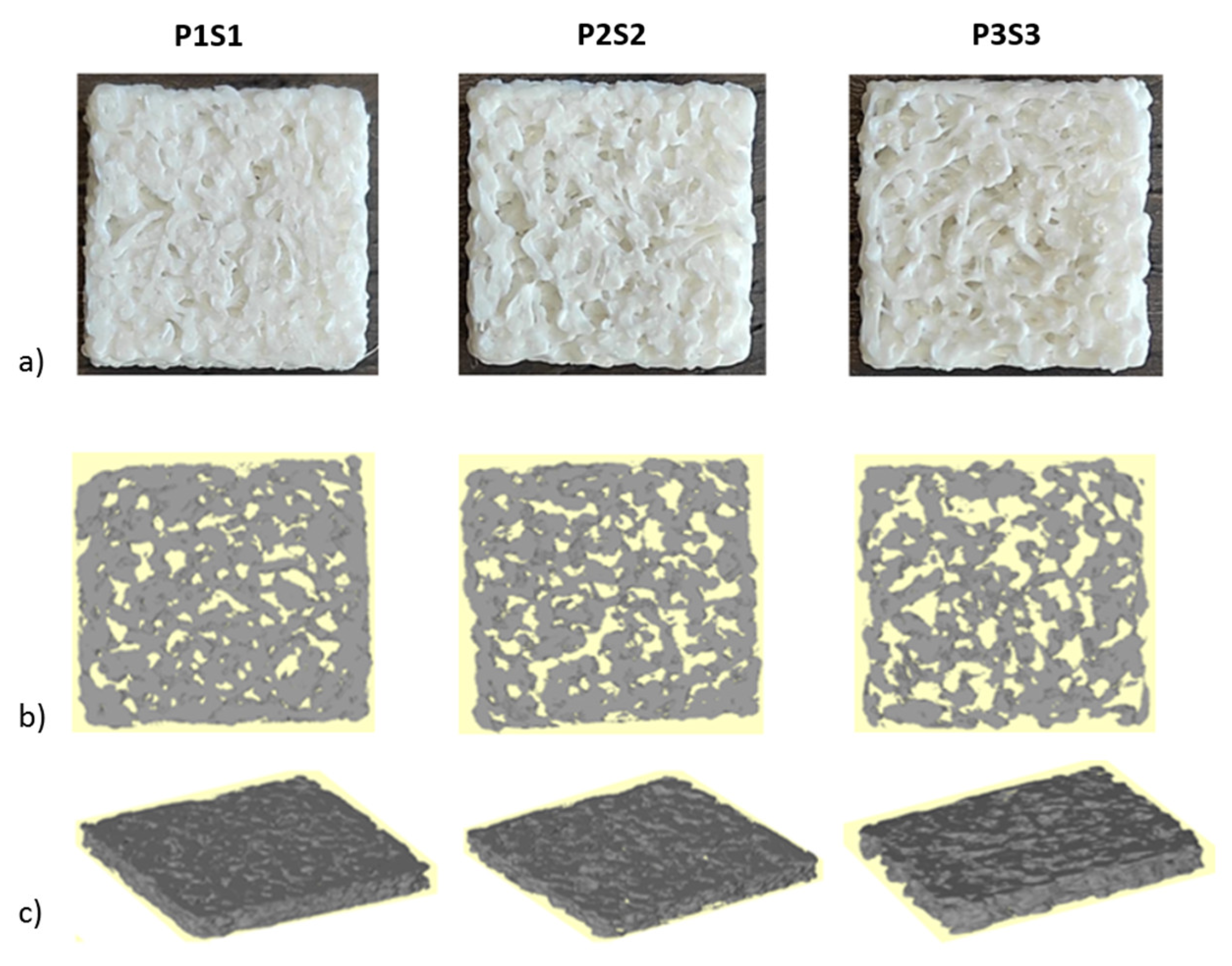 Bioengineering 10 00567 g001 Bioengineering 10 00567 g001