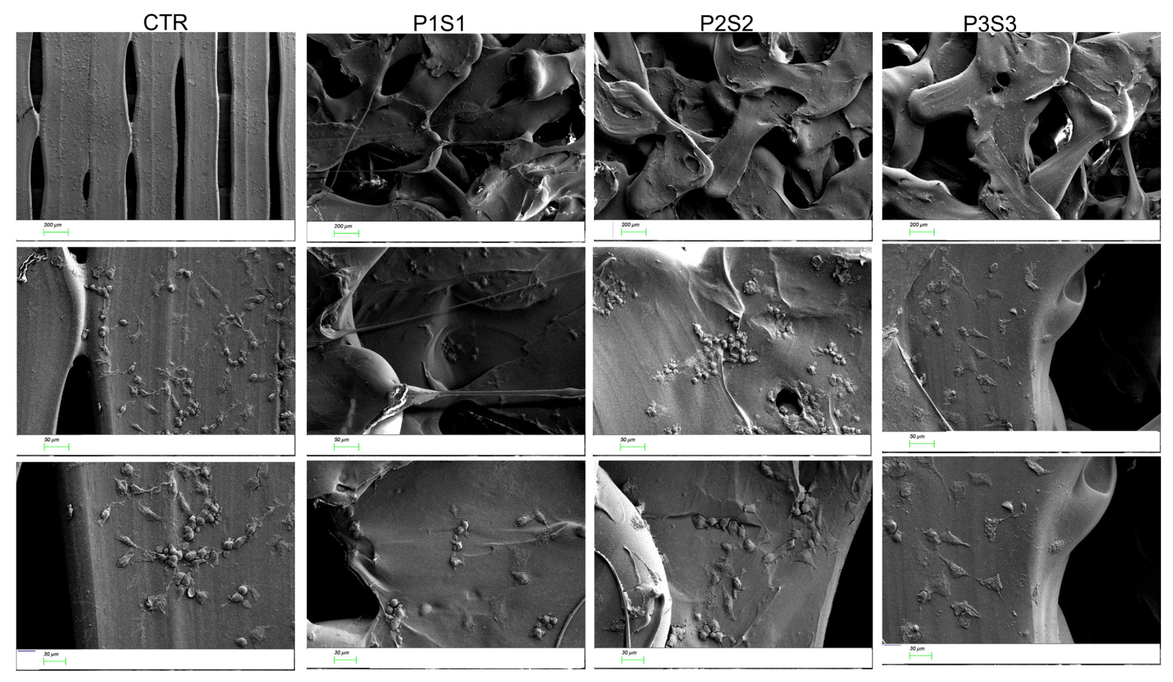 Bioengineering 10 00567 g003 Bioengineering 10 00567 g003