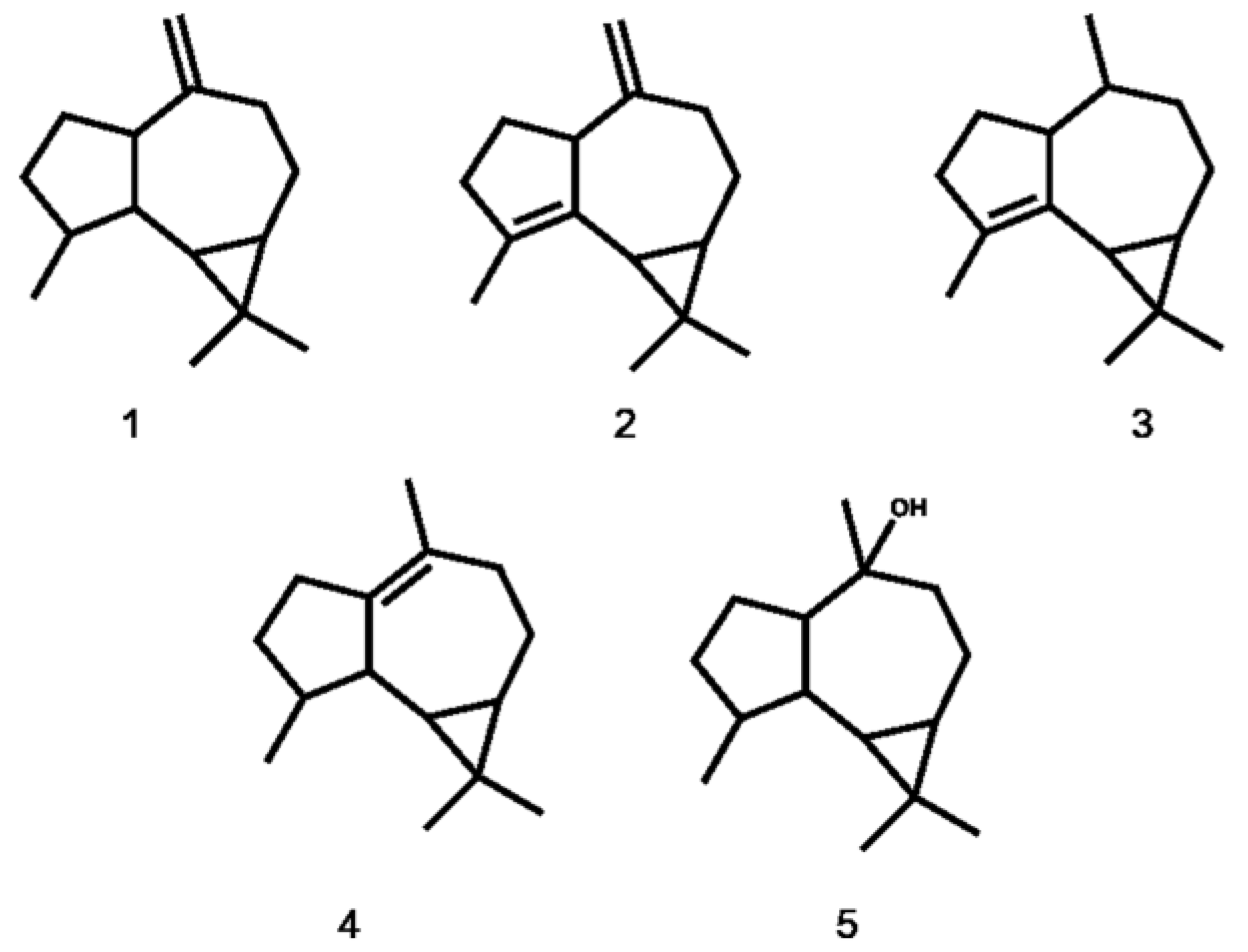 Bioengineering 10 00569 g001 Bioengineering 10 00569 g001