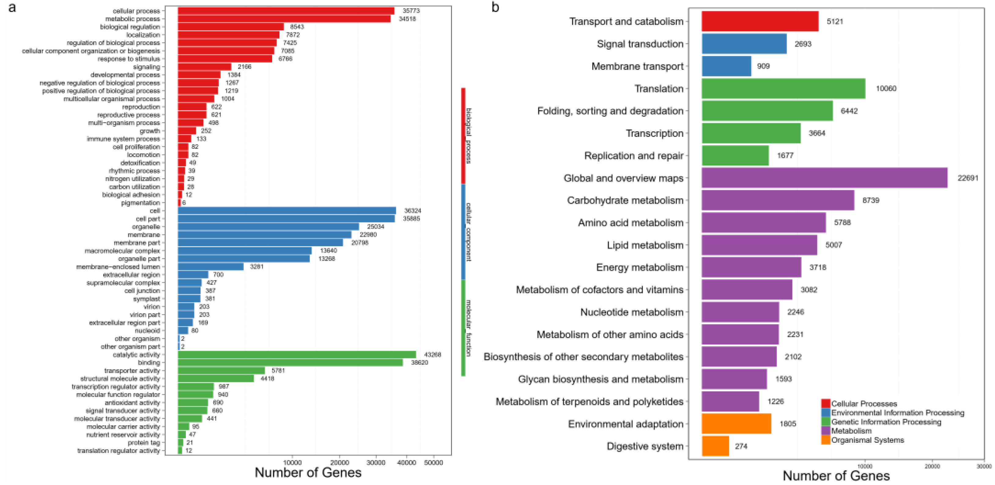 Bioengineering 10 00569 g002 Bioengineering 10 00569 g002