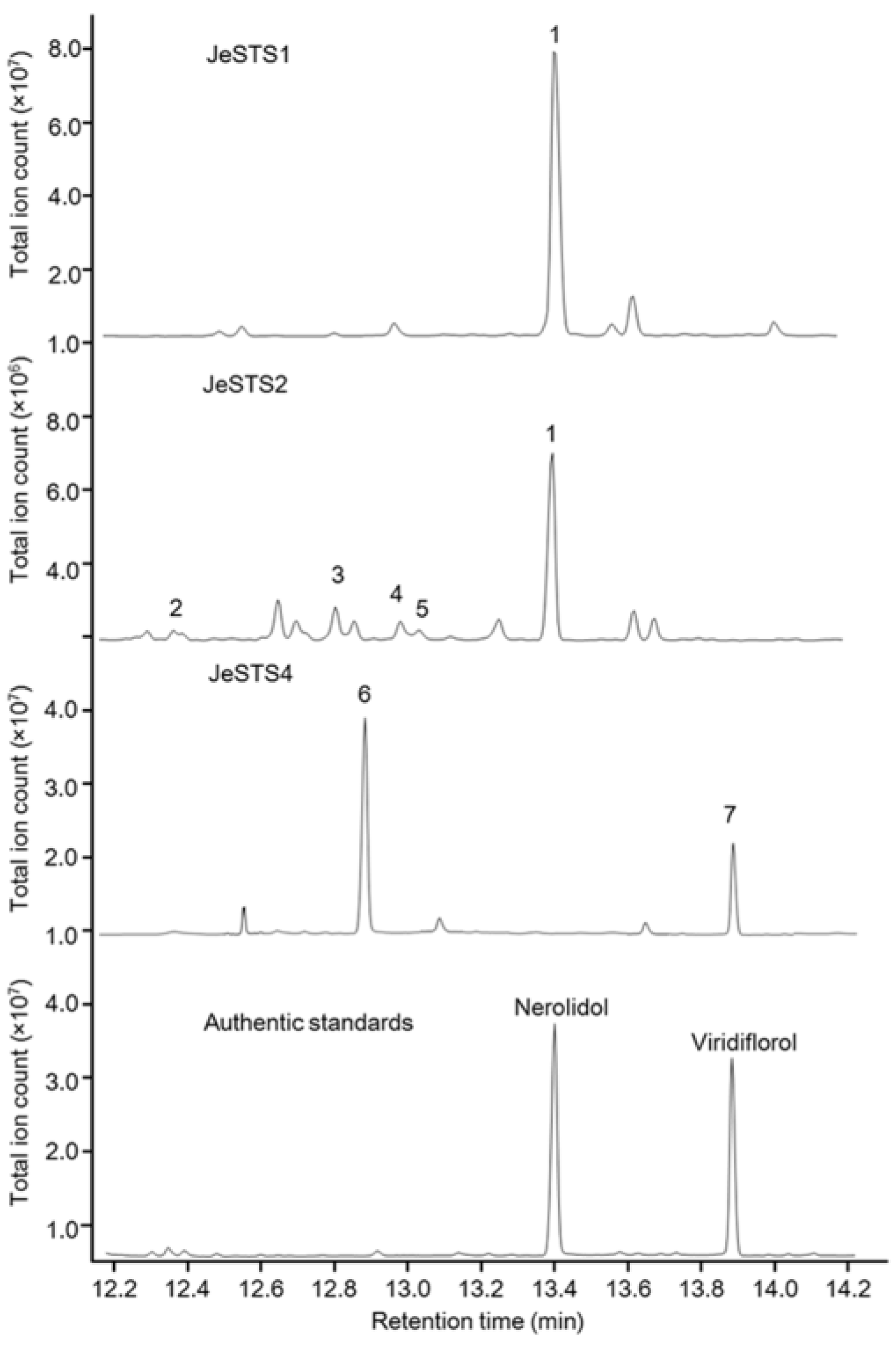 Bioengineering 10 00569 g006 Bioengineering 10 00569 g006