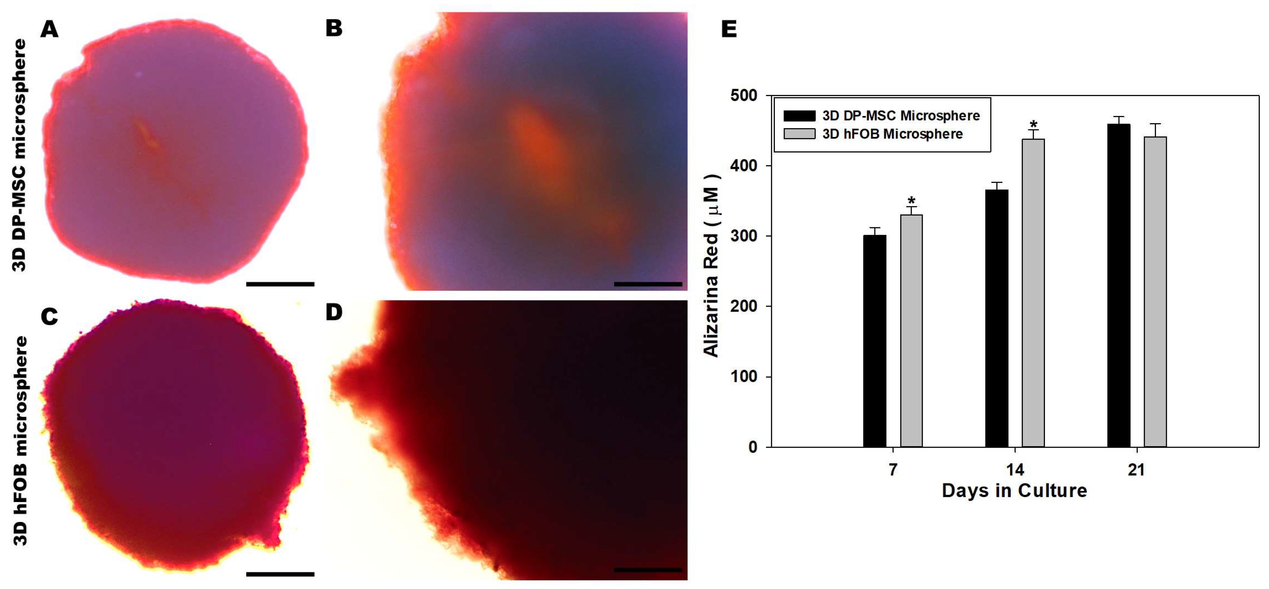 Bioengineering 10 00571 g004 Bioengineering 10 00571 g004