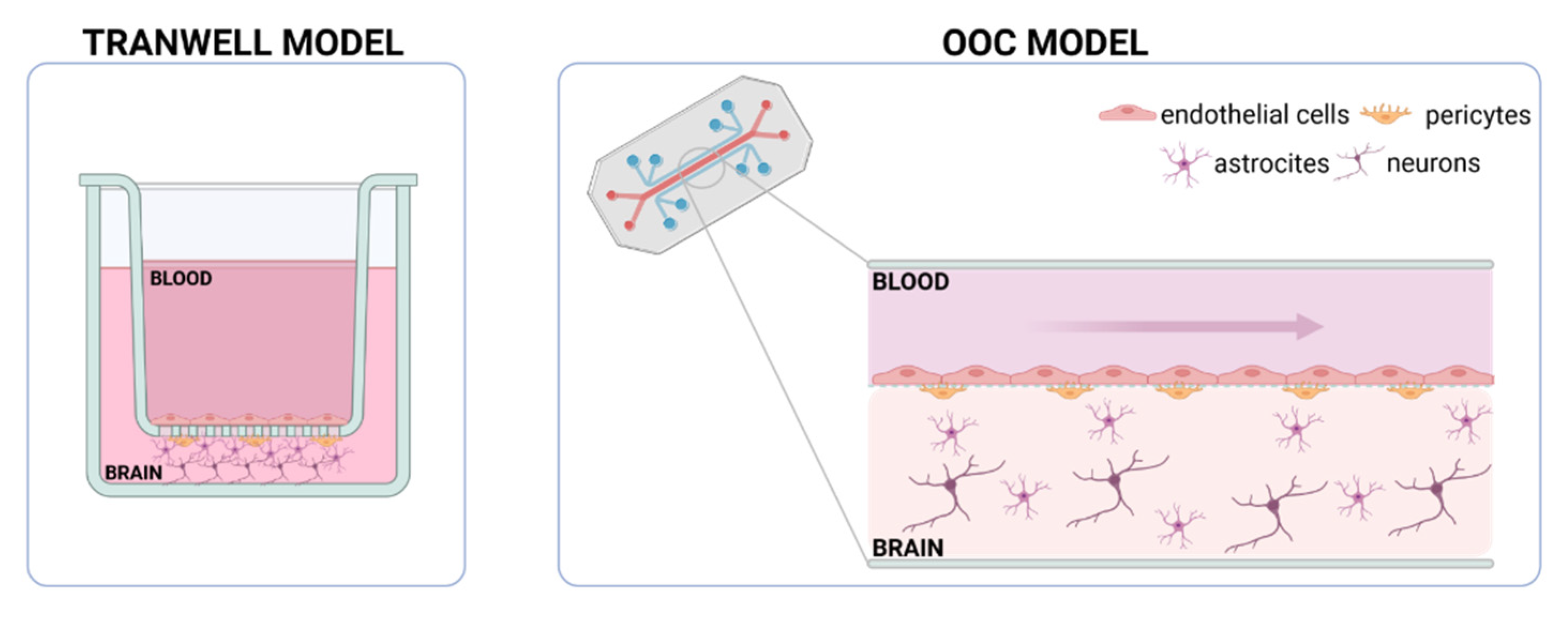 Bioengineering 10 00572 g002