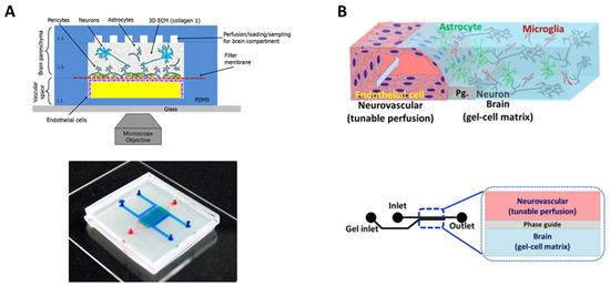 Biosensors Integration in Blood–Brain Barrier-on-a-Chip: Emerging Platform  for Monitoring Neurodegenerative Diseases