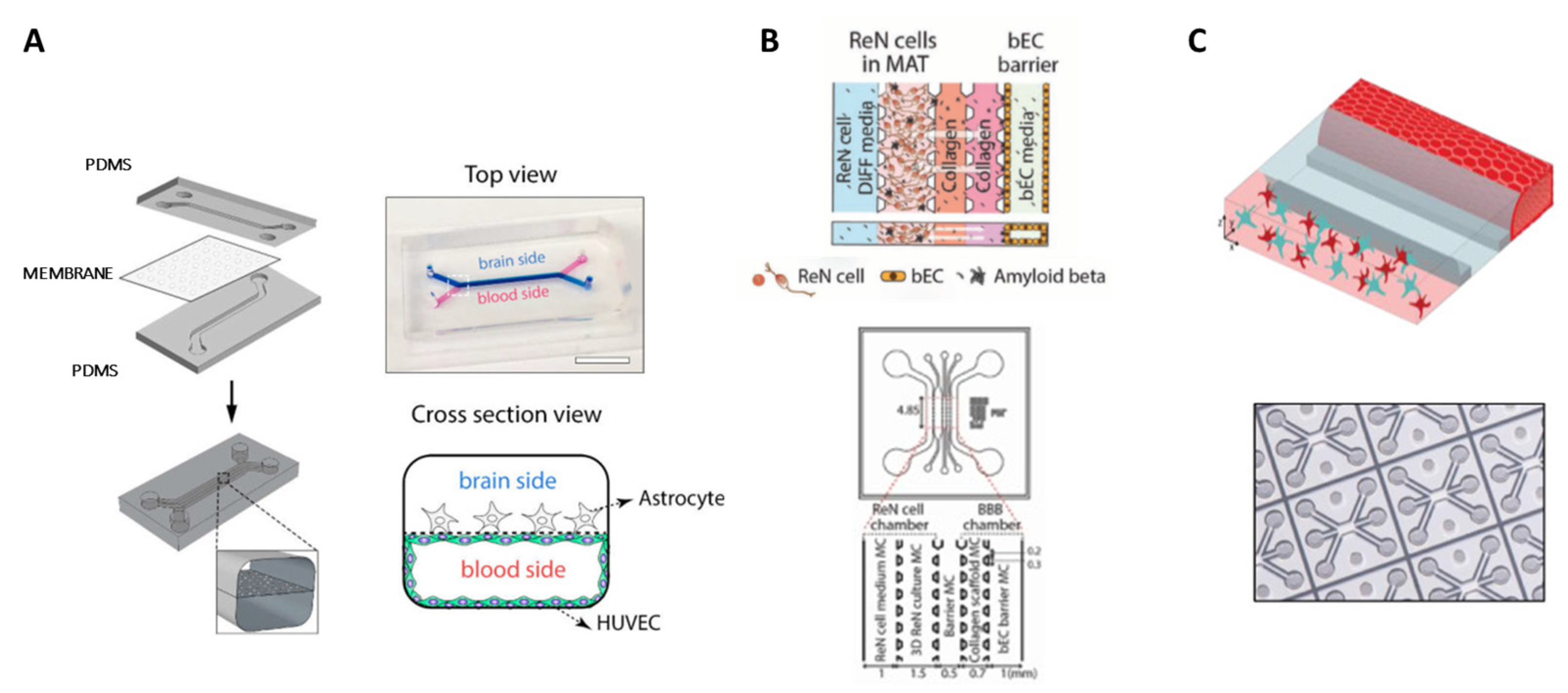 Bioengineering 10 00572 g009