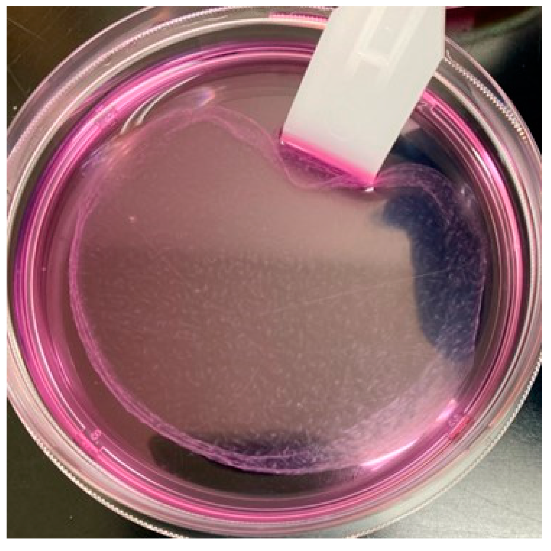 Bioengineering 10 00574 g002 Bioengineering 10 00574 g002