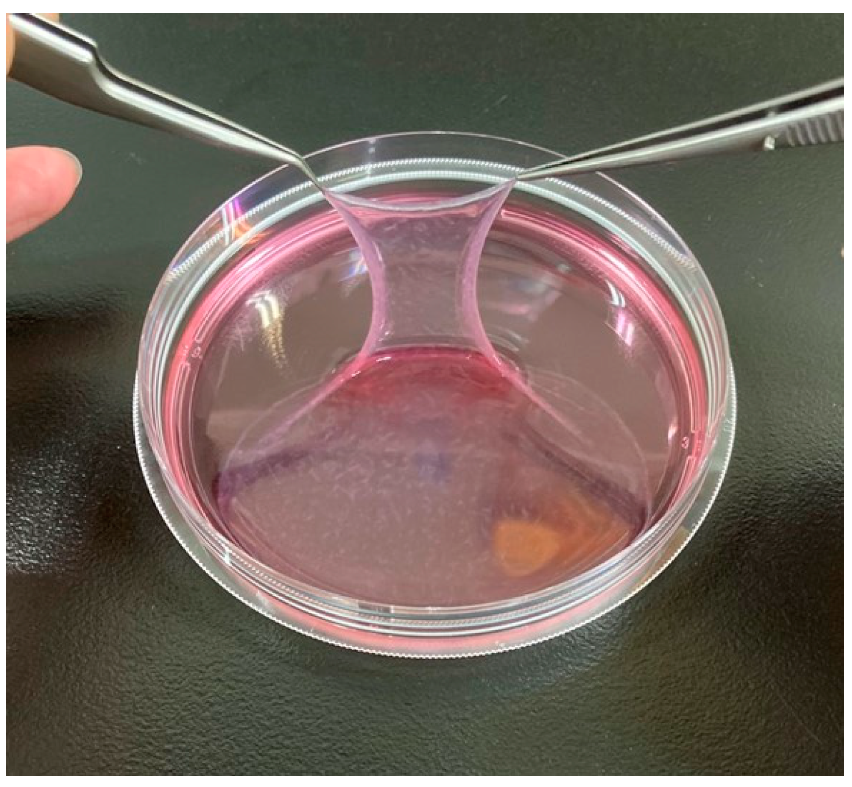 Bioengineering 10 00574 g003 Bioengineering 10 00574 g003