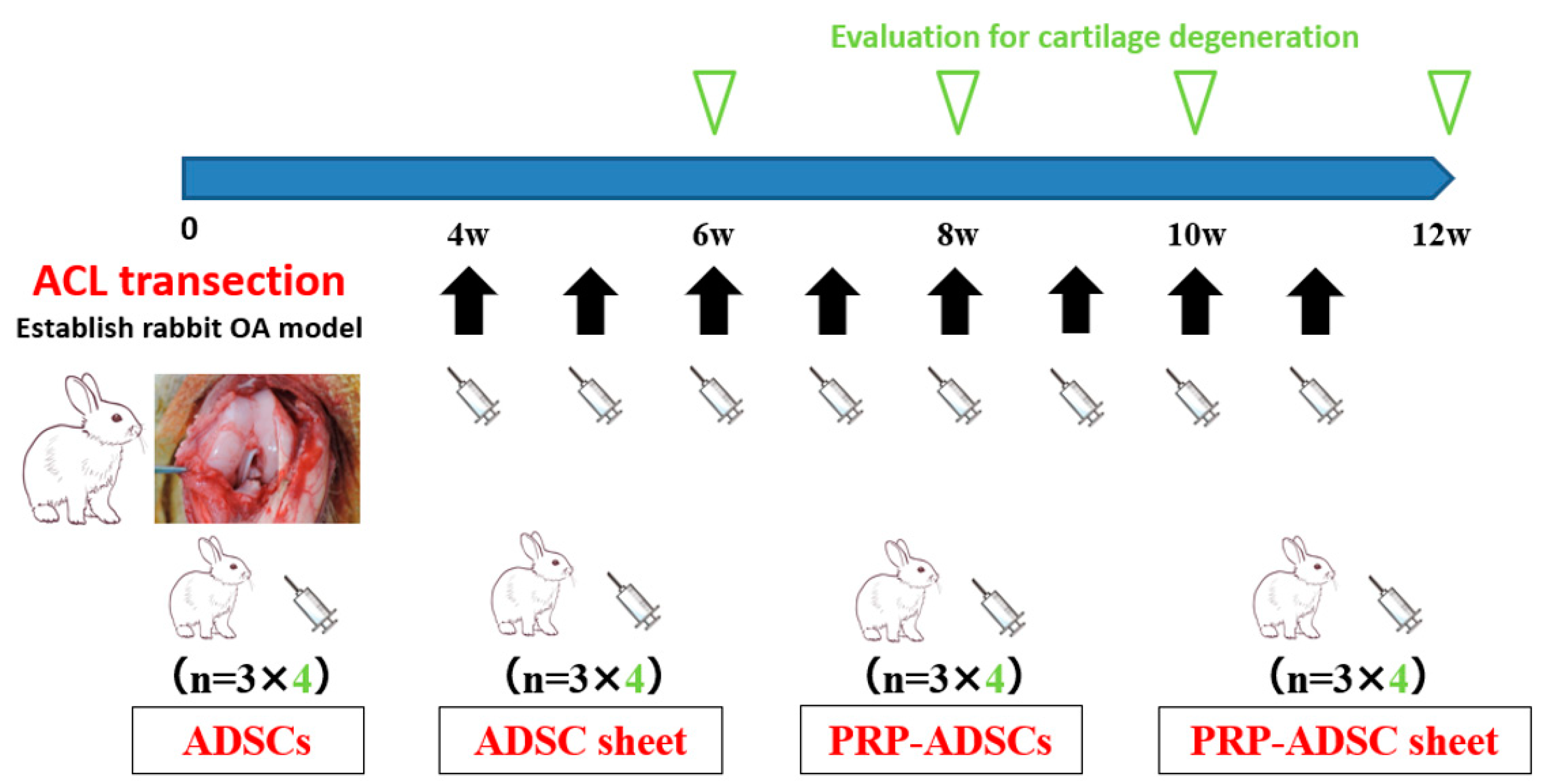 Bioengineering 10 00574 g004 Bioengineering 10 00574 g004