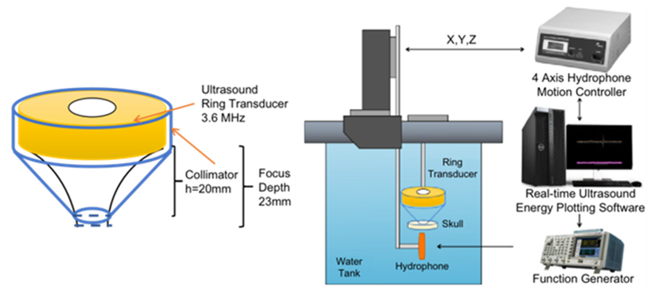 Bioengineering 10 00577 g001 Bioengineering 10 00577 g001