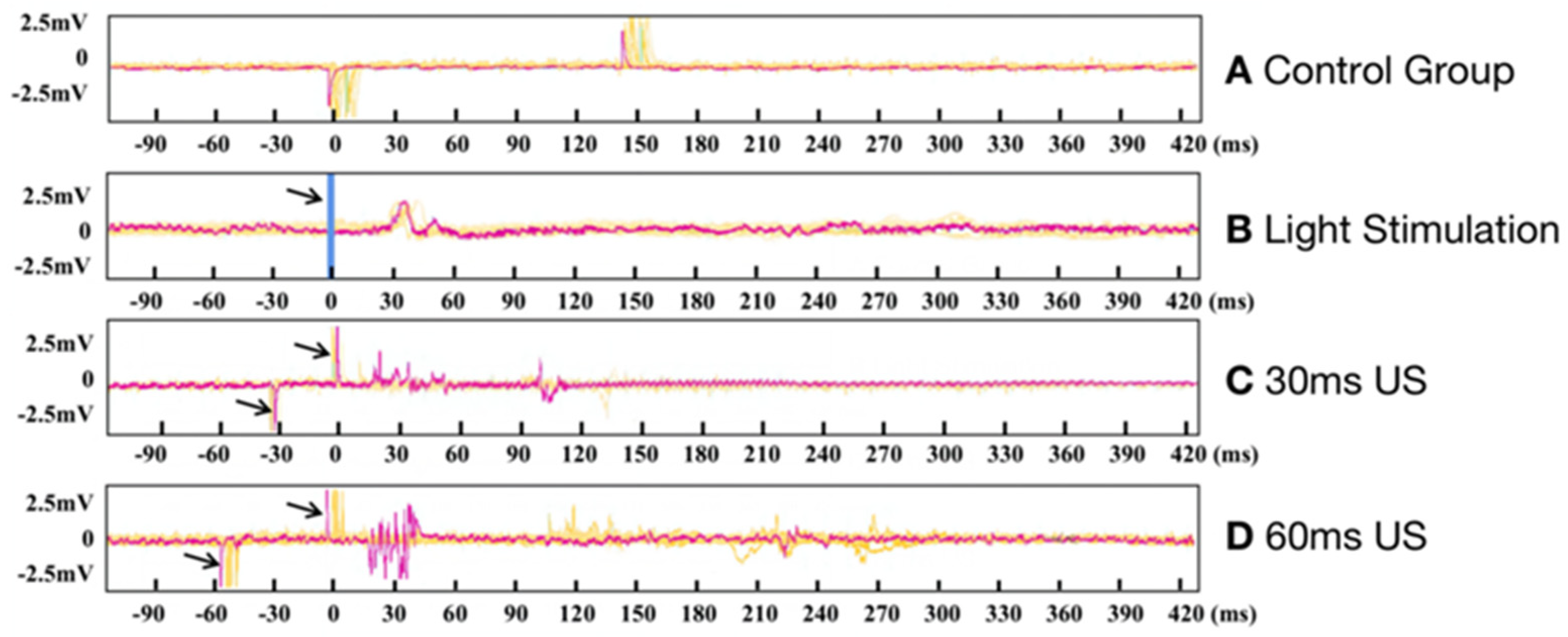 Bioengineering 10 00577 g004 Bioengineering 10 00577 g004