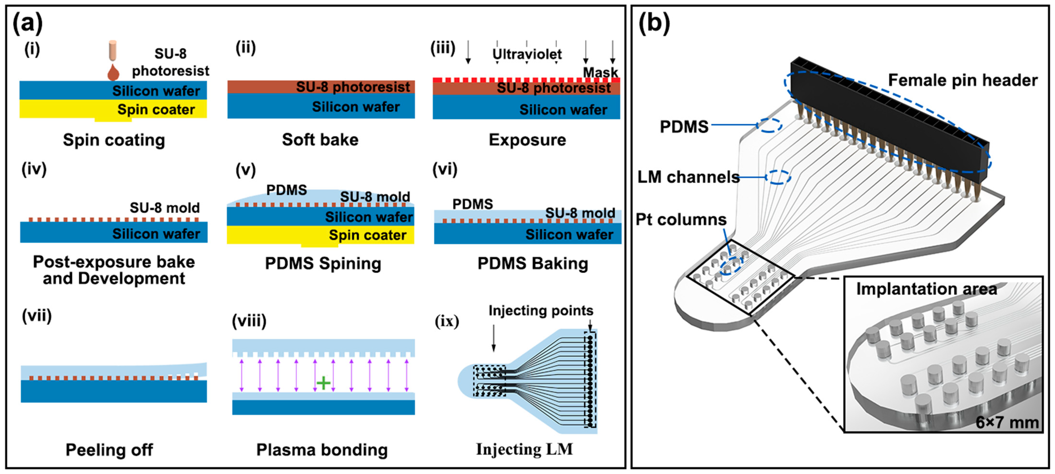 Bioengineering 10 00578 g001