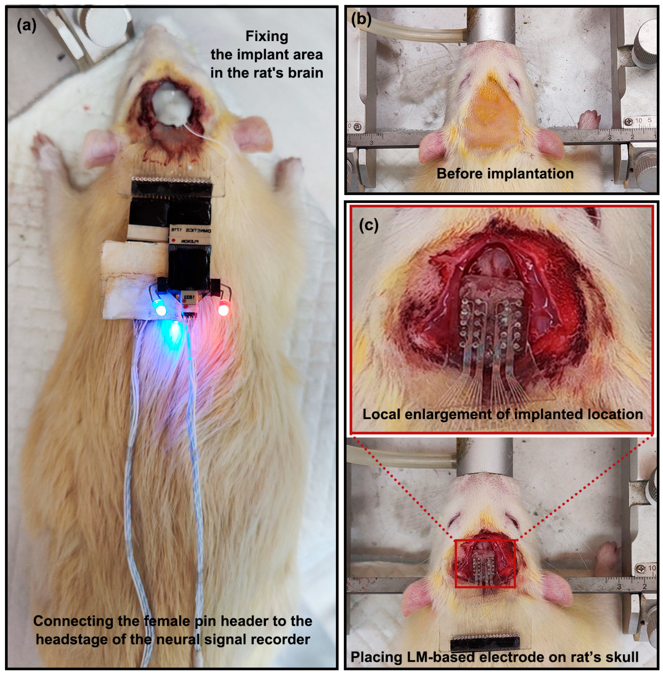 Bioengineering 10 00578 g002