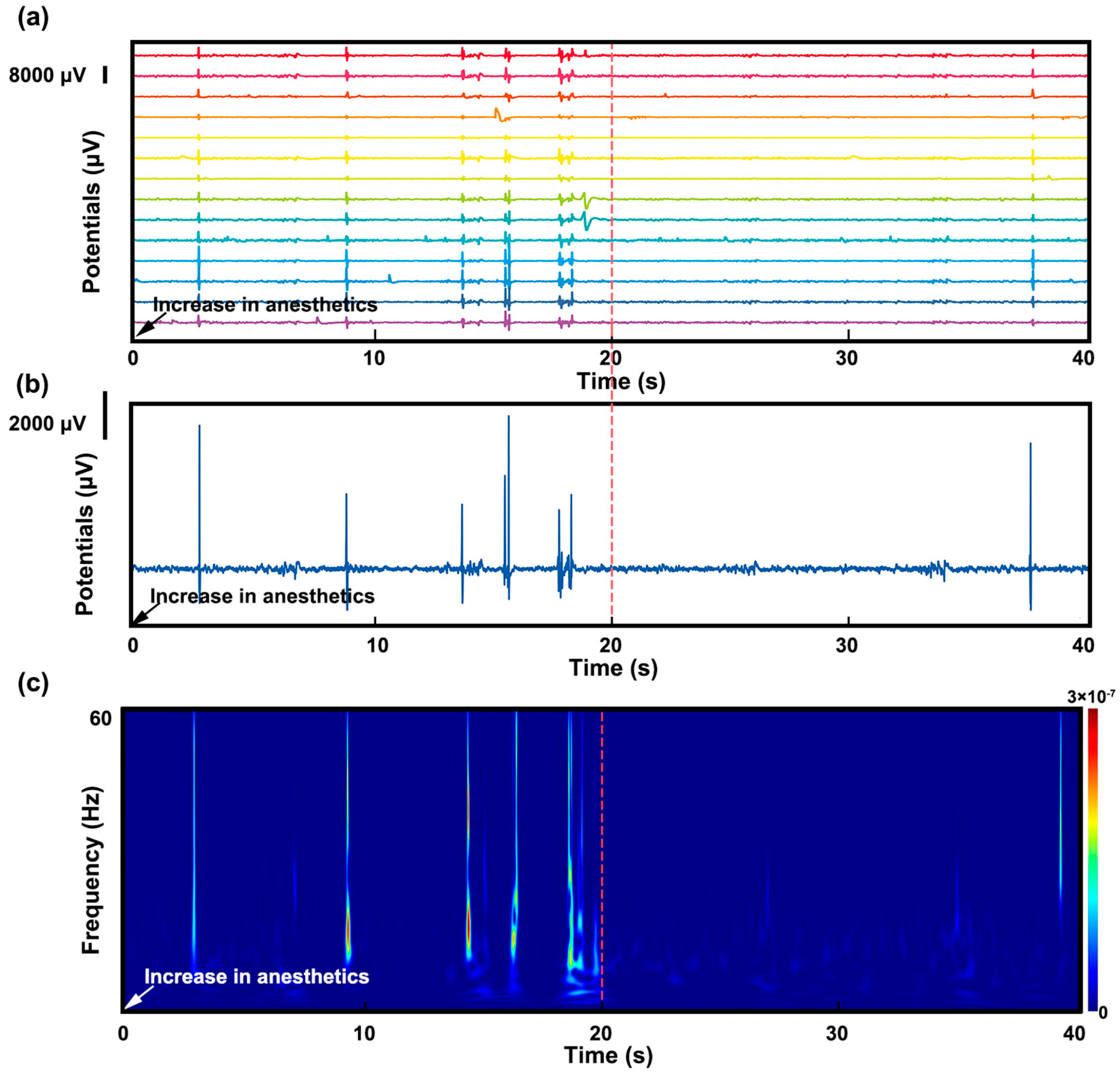Bioengineering 10 00578 g005