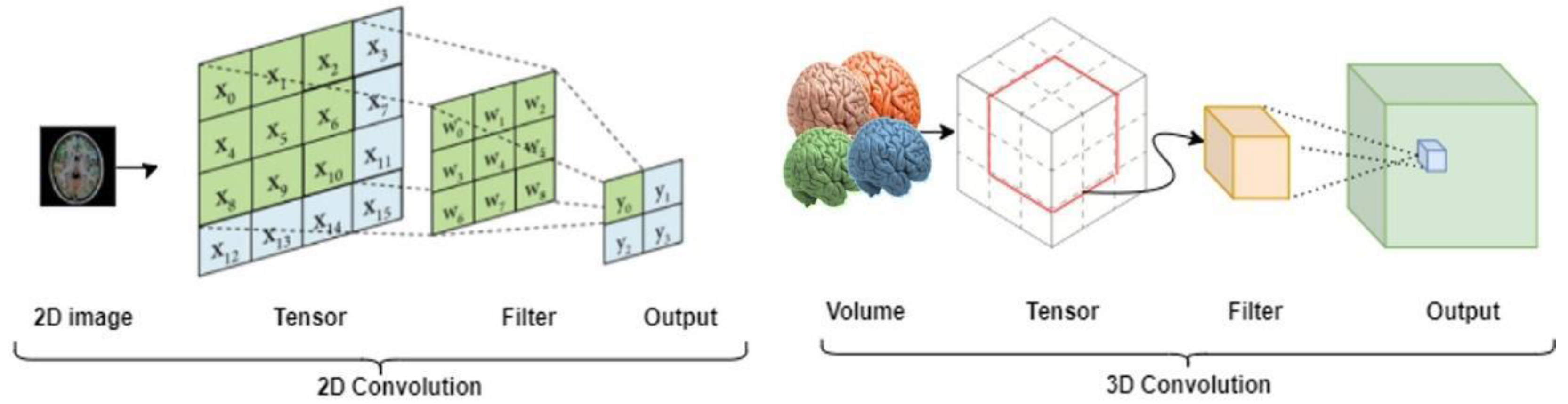 Bioengineering 10 00581 g003
