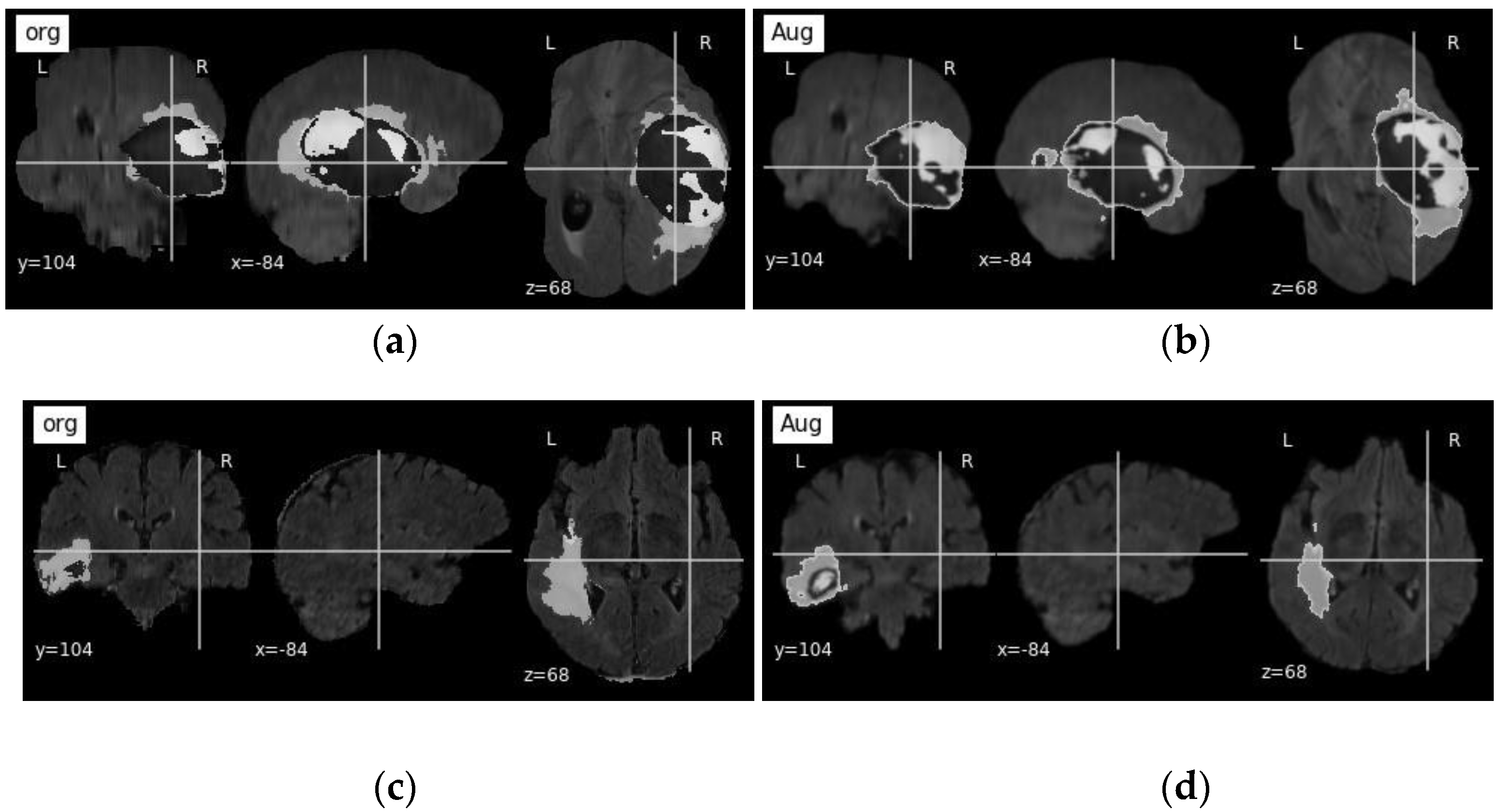 Bioengineering 10 00581 g005